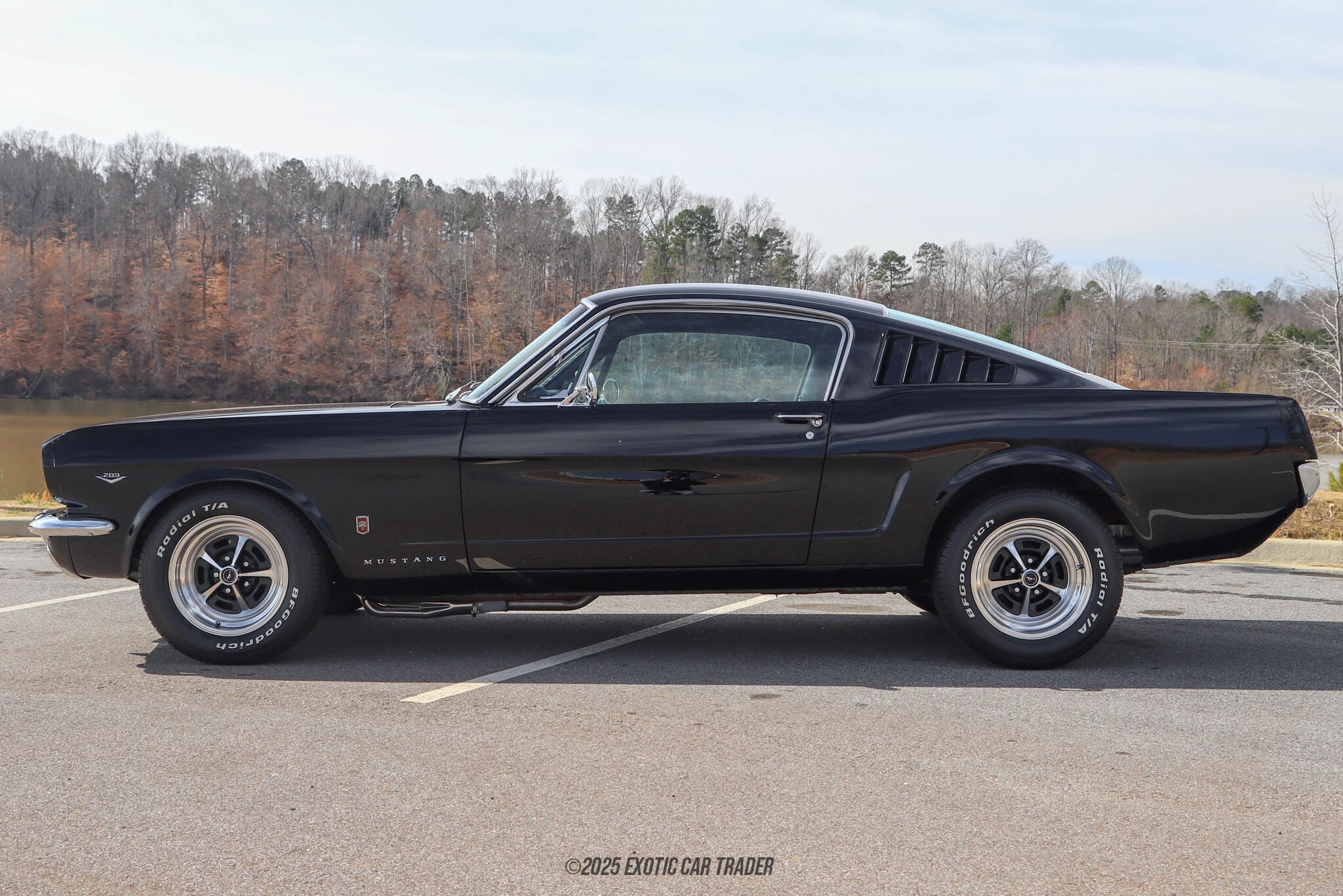 1965 Ford Mustang Fastback for sale