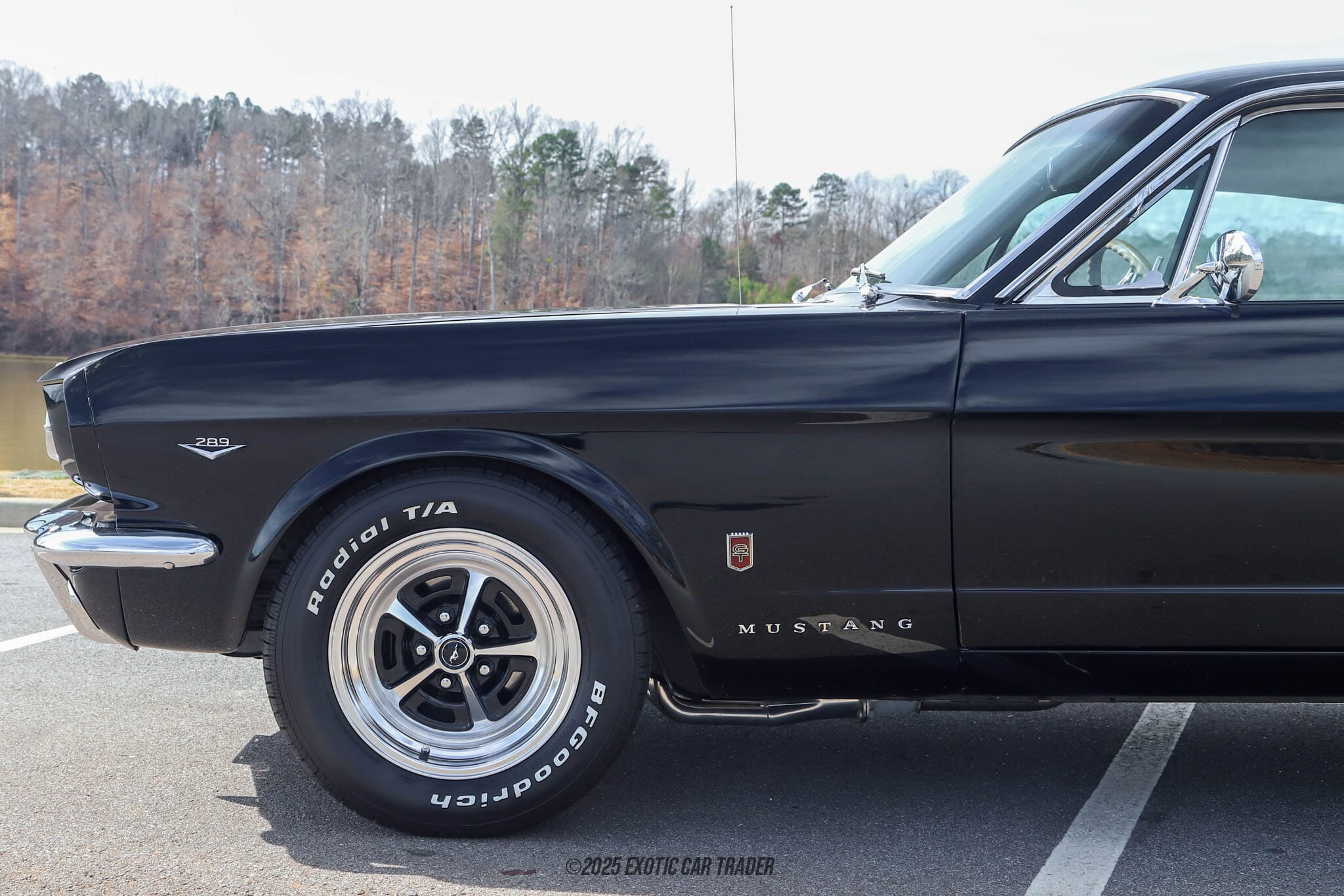 1965 Ford Mustang Fastback for sale