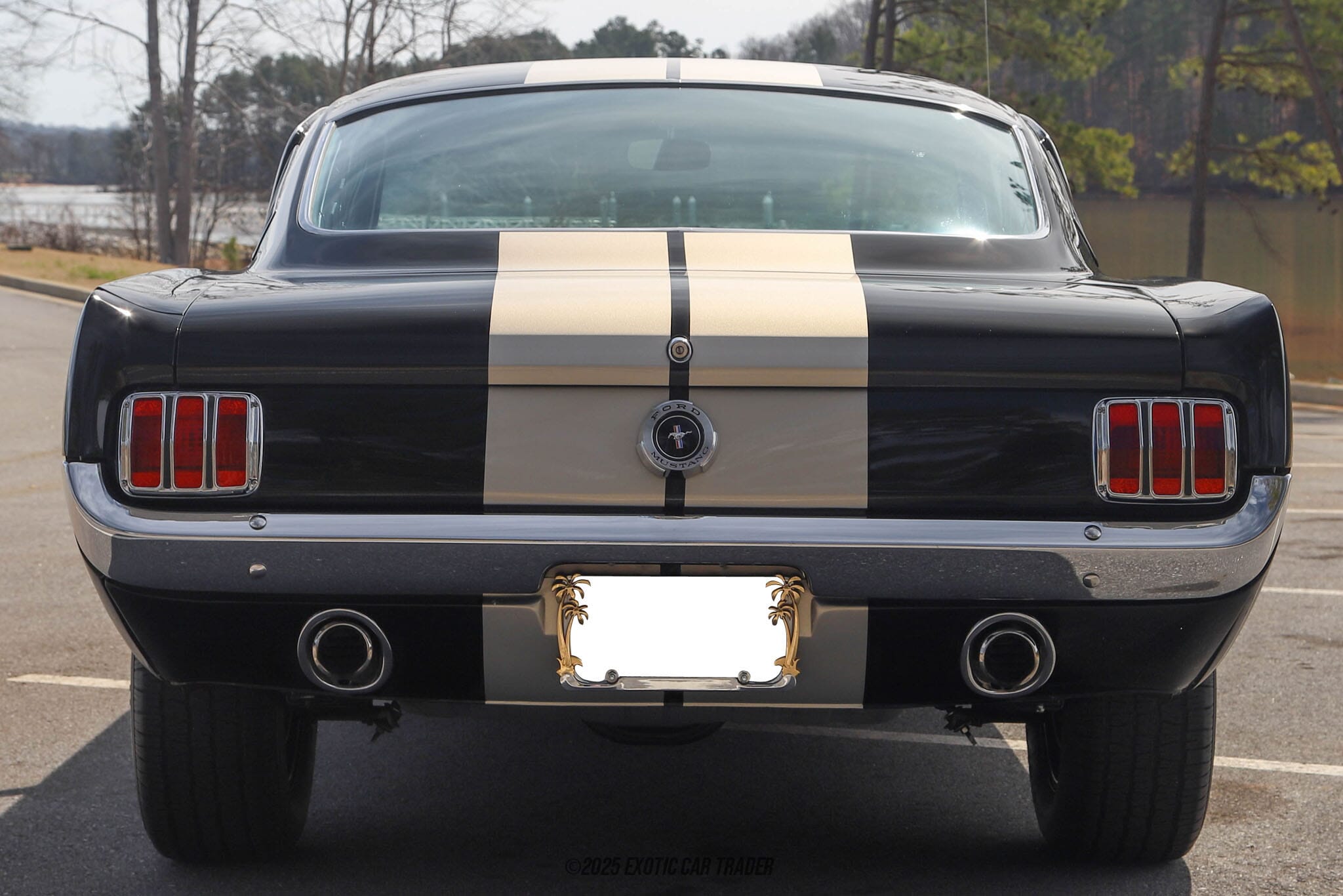 1965 Ford Mustang Fastback for sale