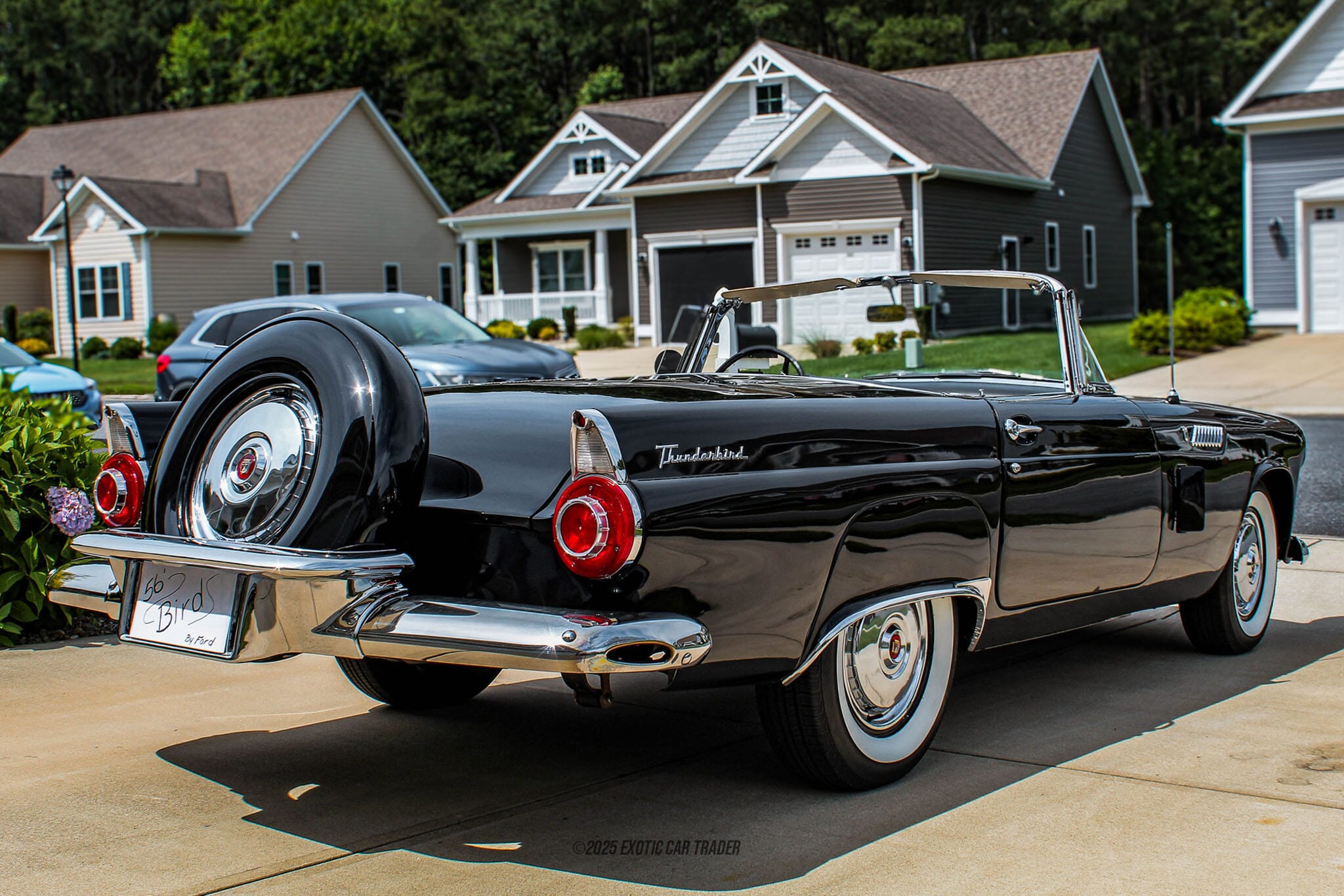 1956 Ford Thunderbird for sale