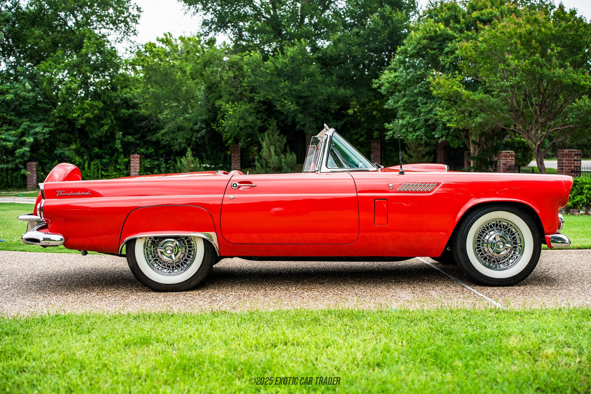 1956 Ford Thunderbird for sale