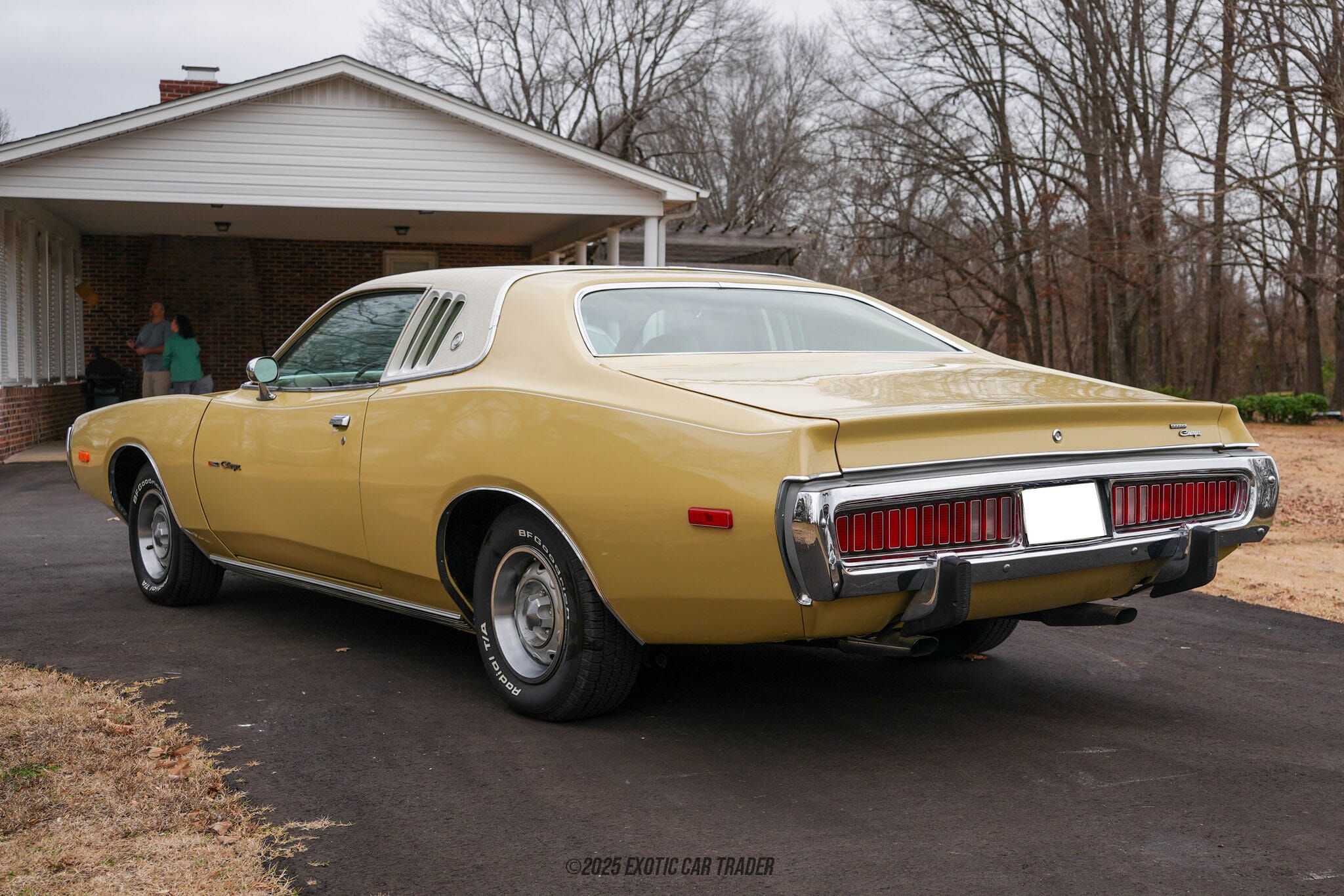1973 Dodge Charger SE for sale