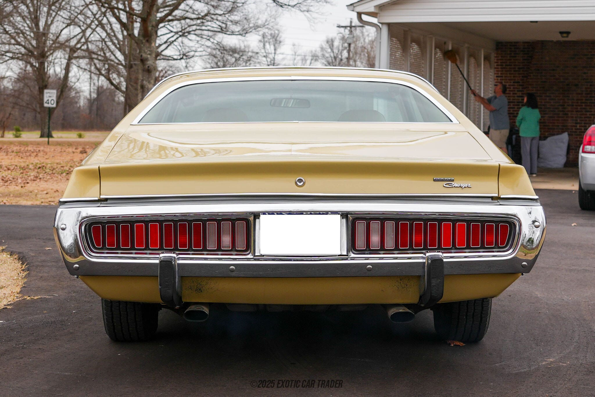 1973 Dodge Charger SE for sale