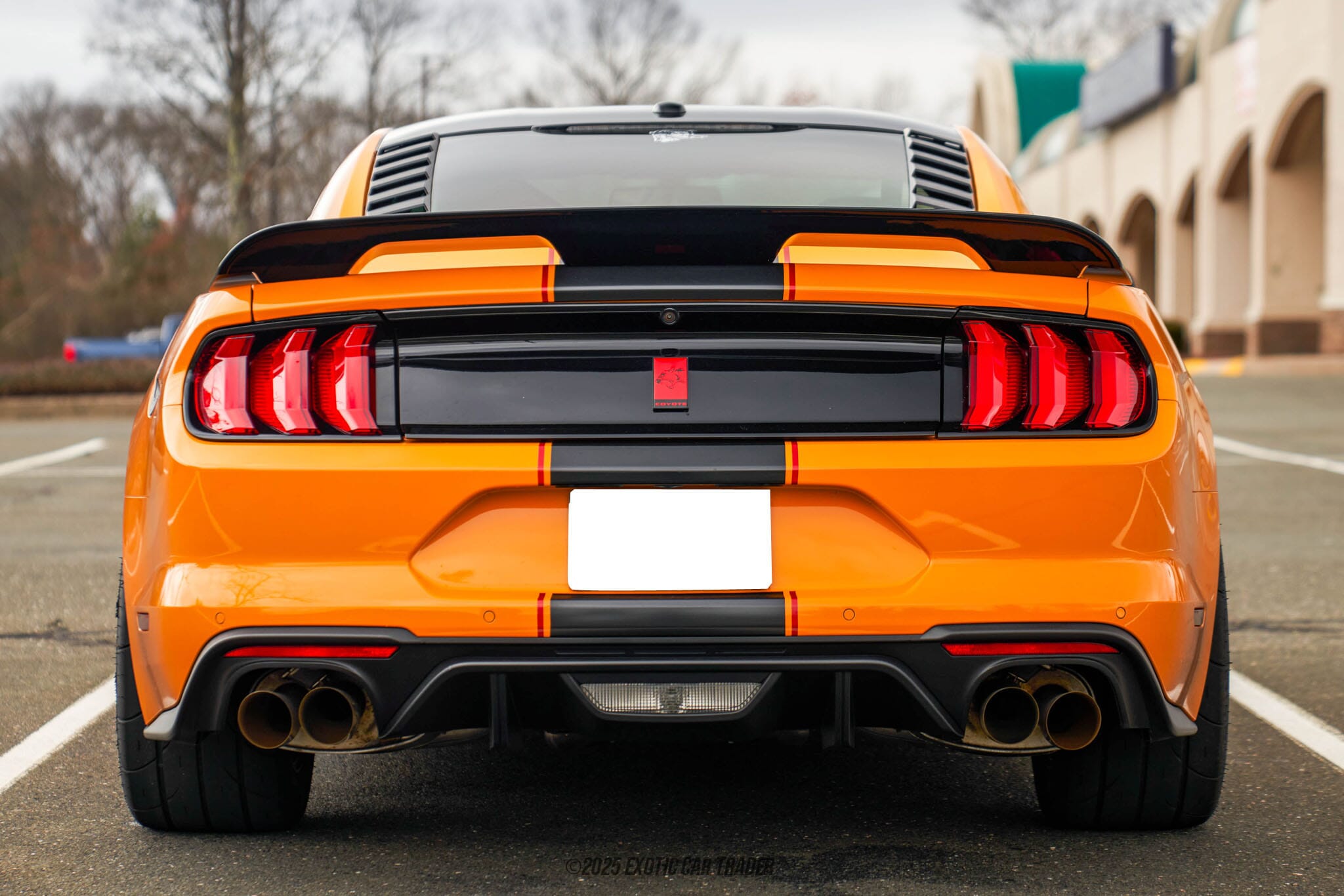 2019 Ford Mustang GT Supercharged for sale