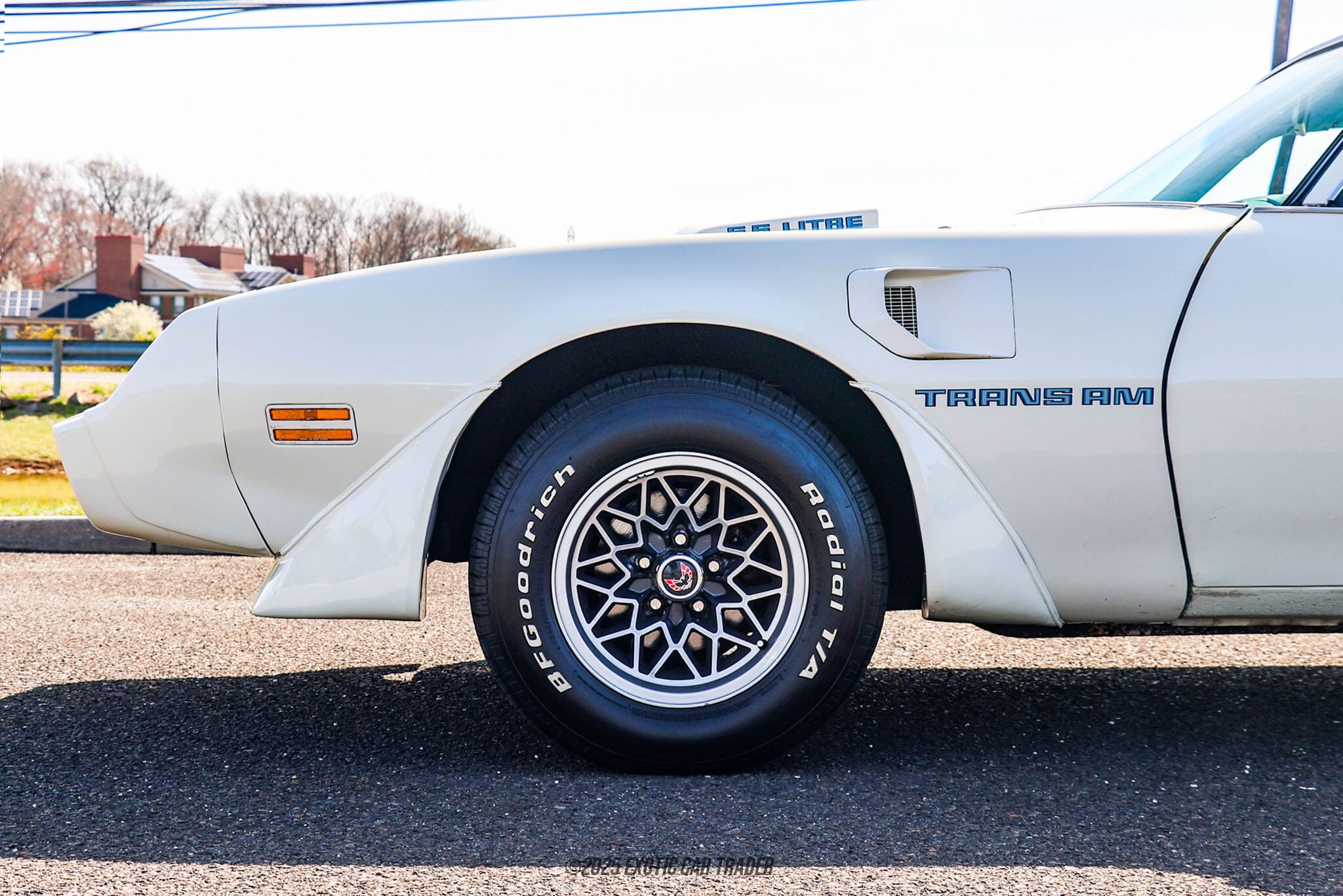 1979 Pontiac Firebird Trans Am for sale