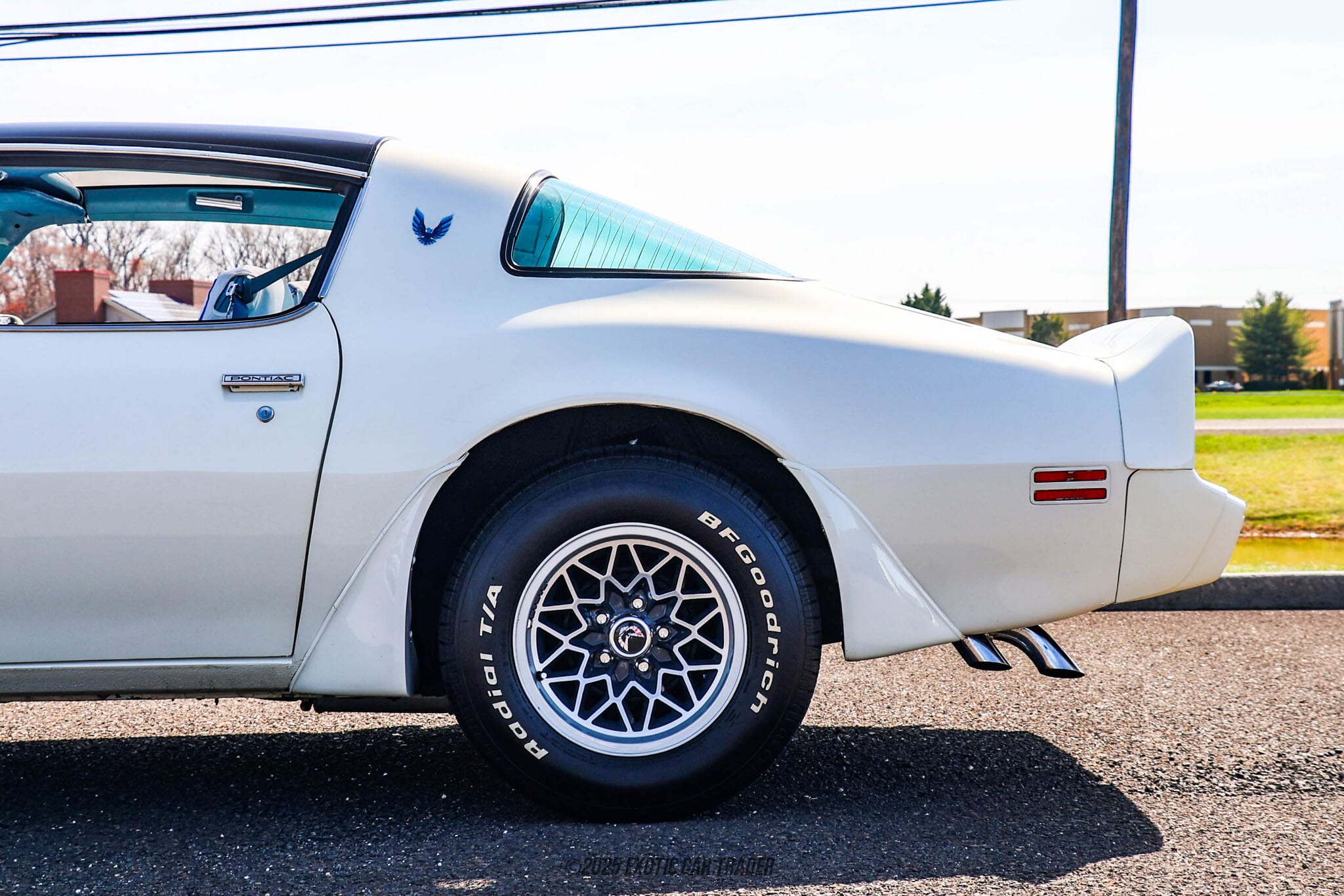 1979 Pontiac Firebird Trans Am for sale