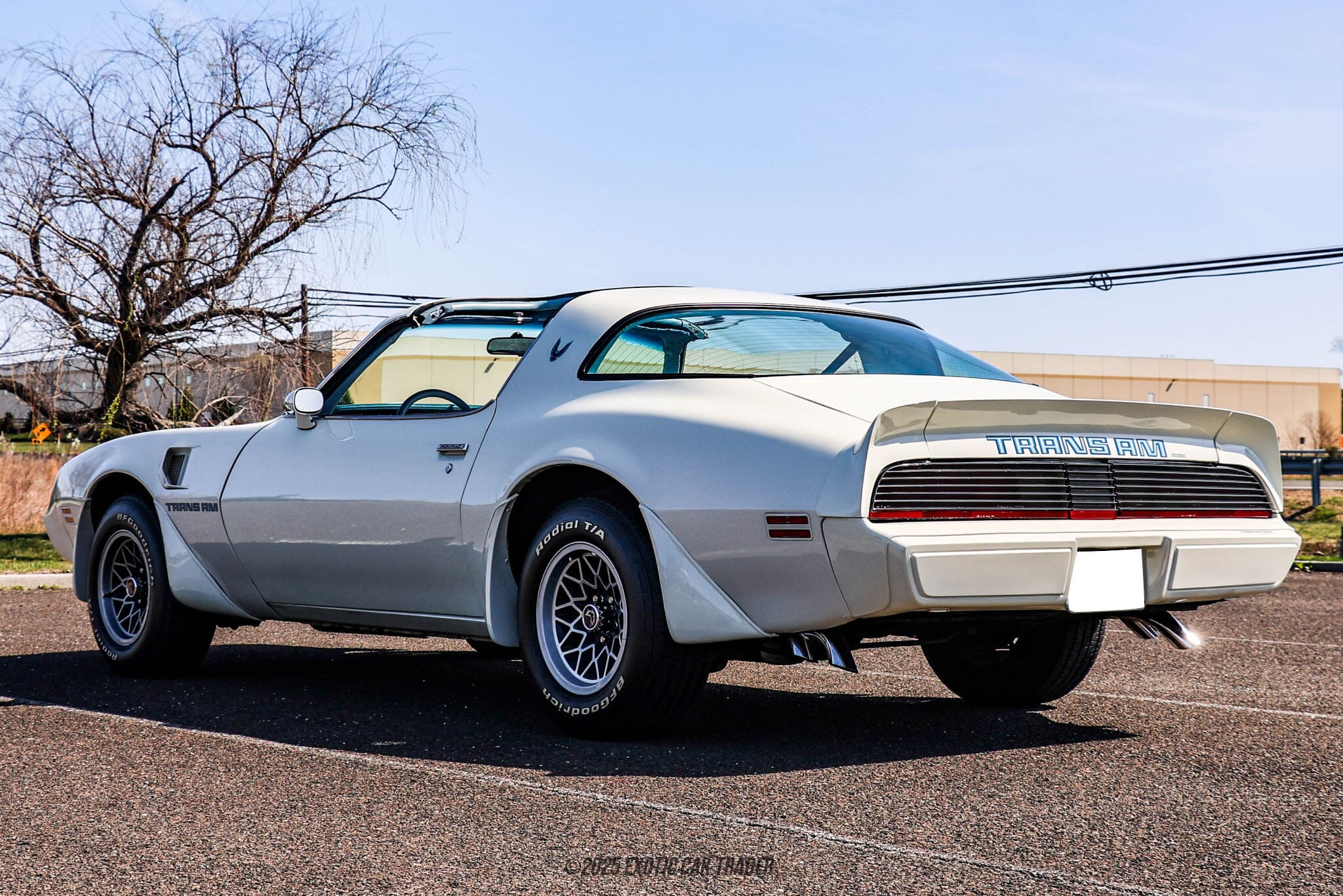 1979 Pontiac Firebird Trans Am for sale