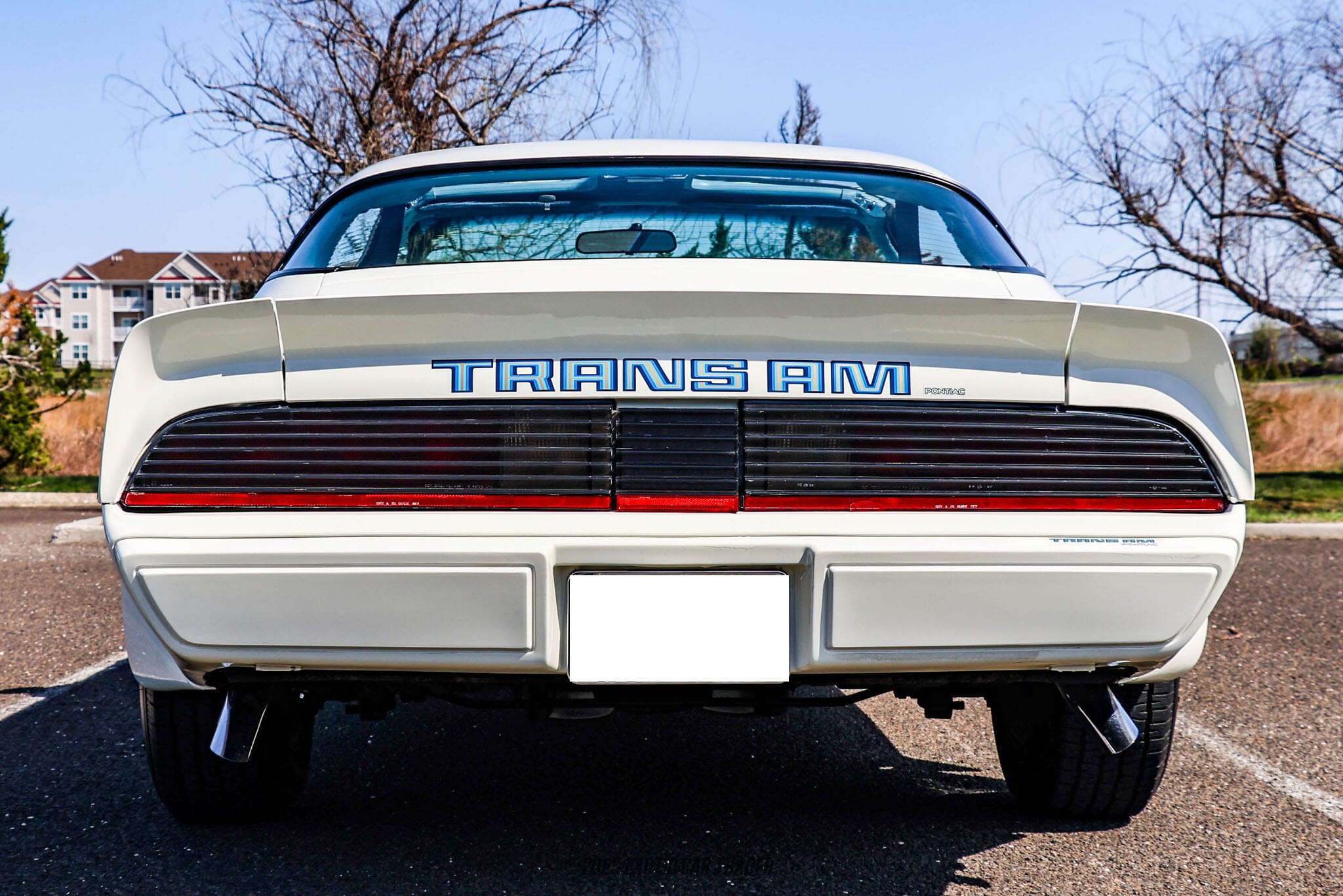 1979 Pontiac Firebird Trans Am for sale