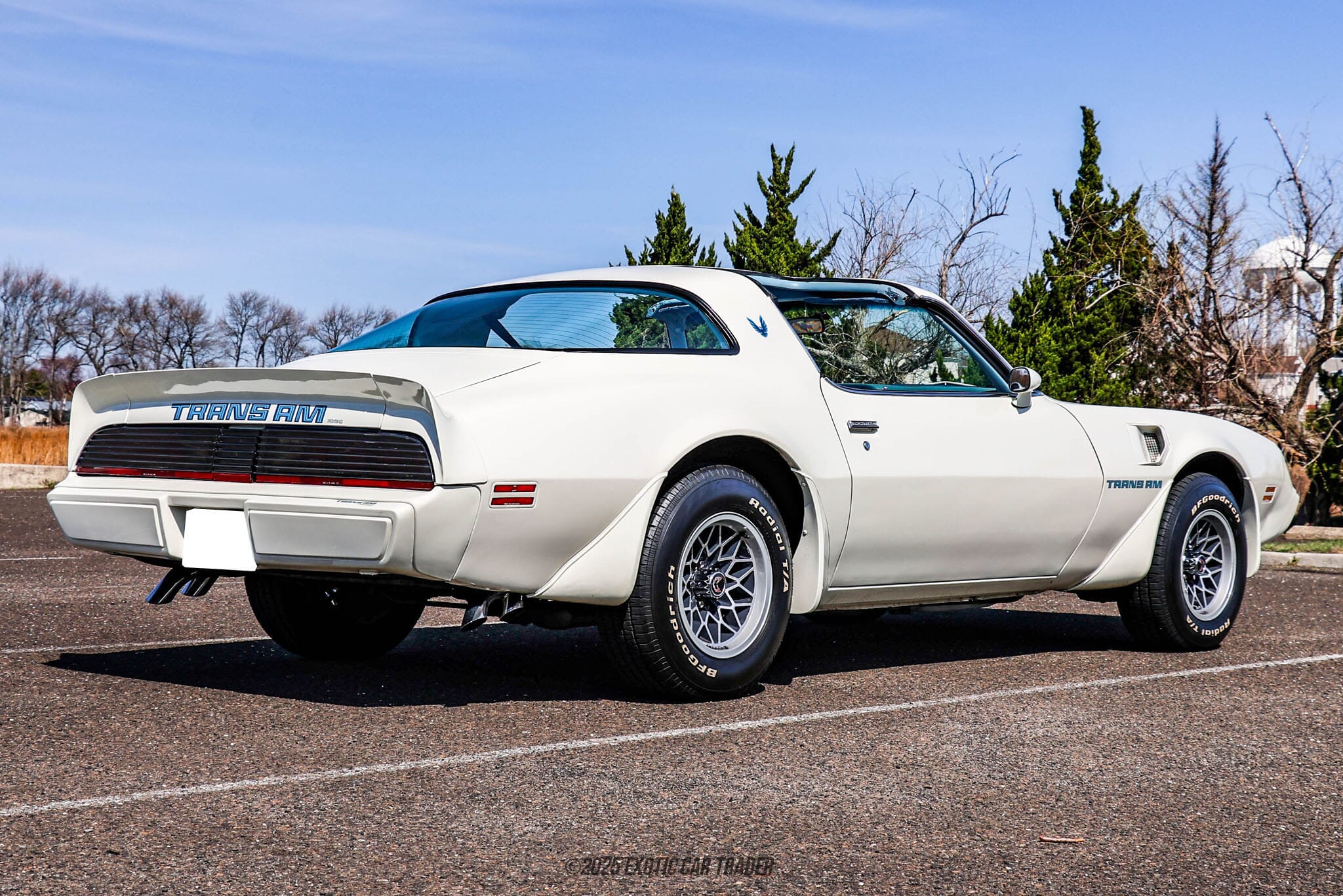 1979 Pontiac Firebird Trans Am for sale