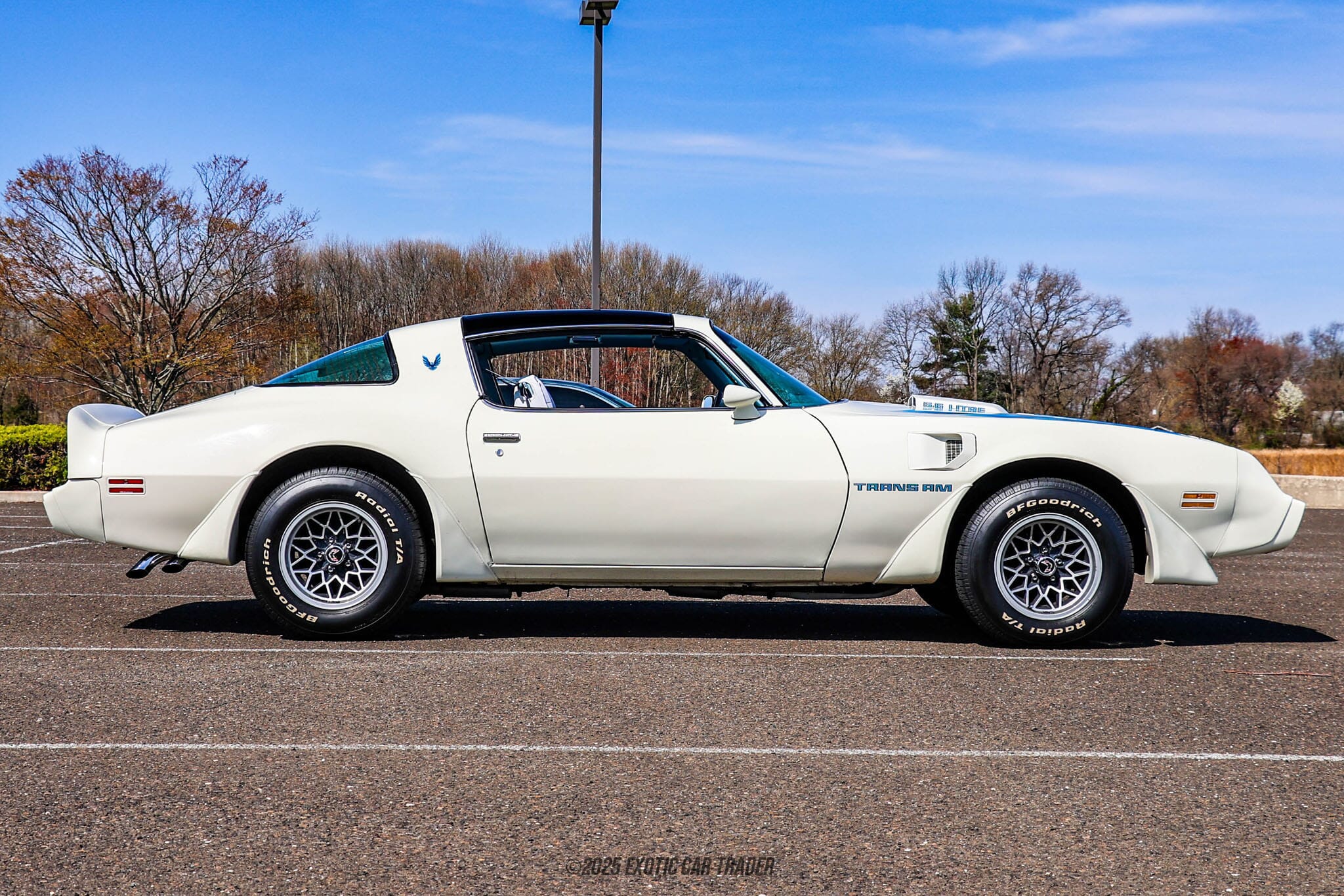 1979 Pontiac Firebird Trans Am for sale