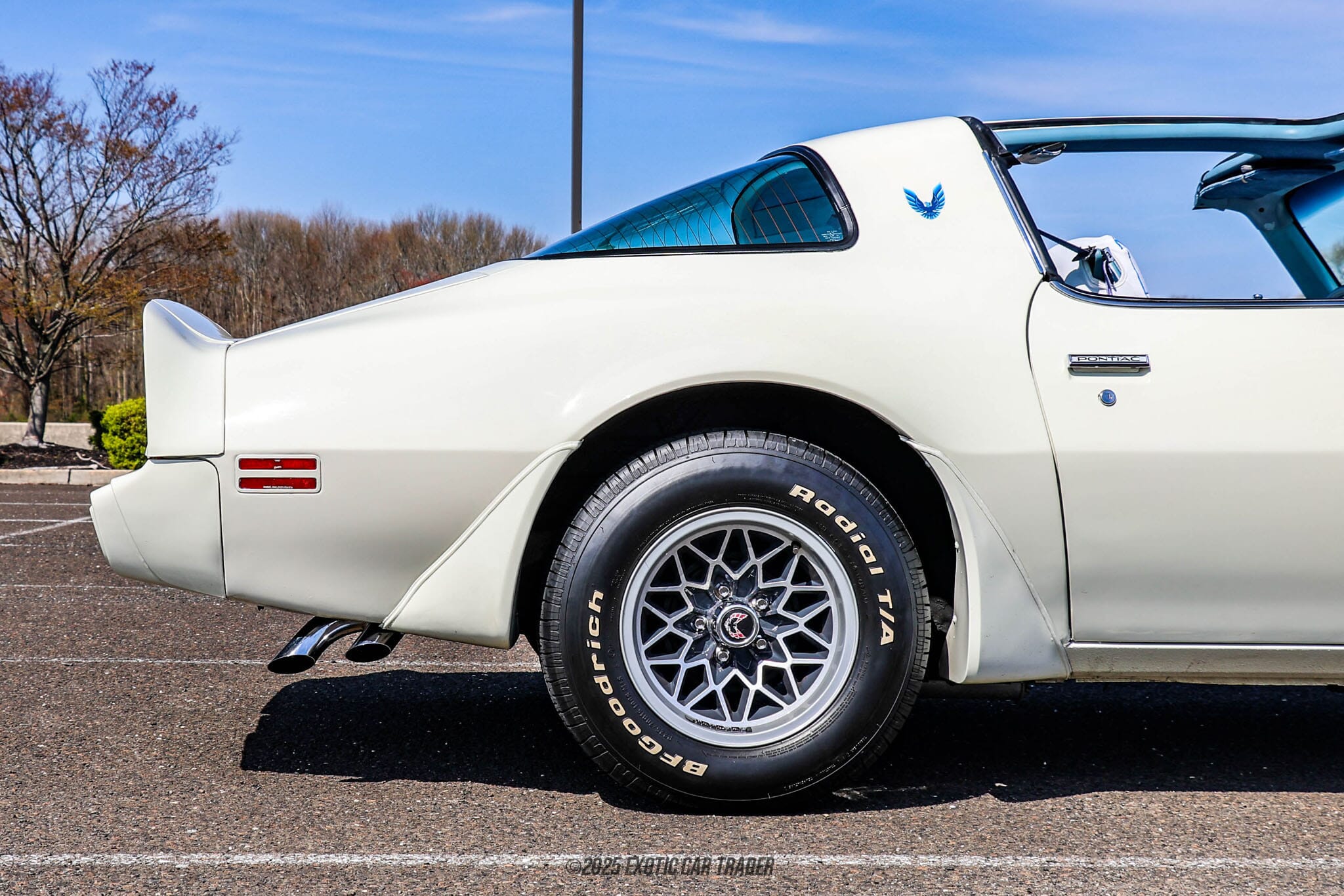 1979 Pontiac Firebird Trans Am for sale