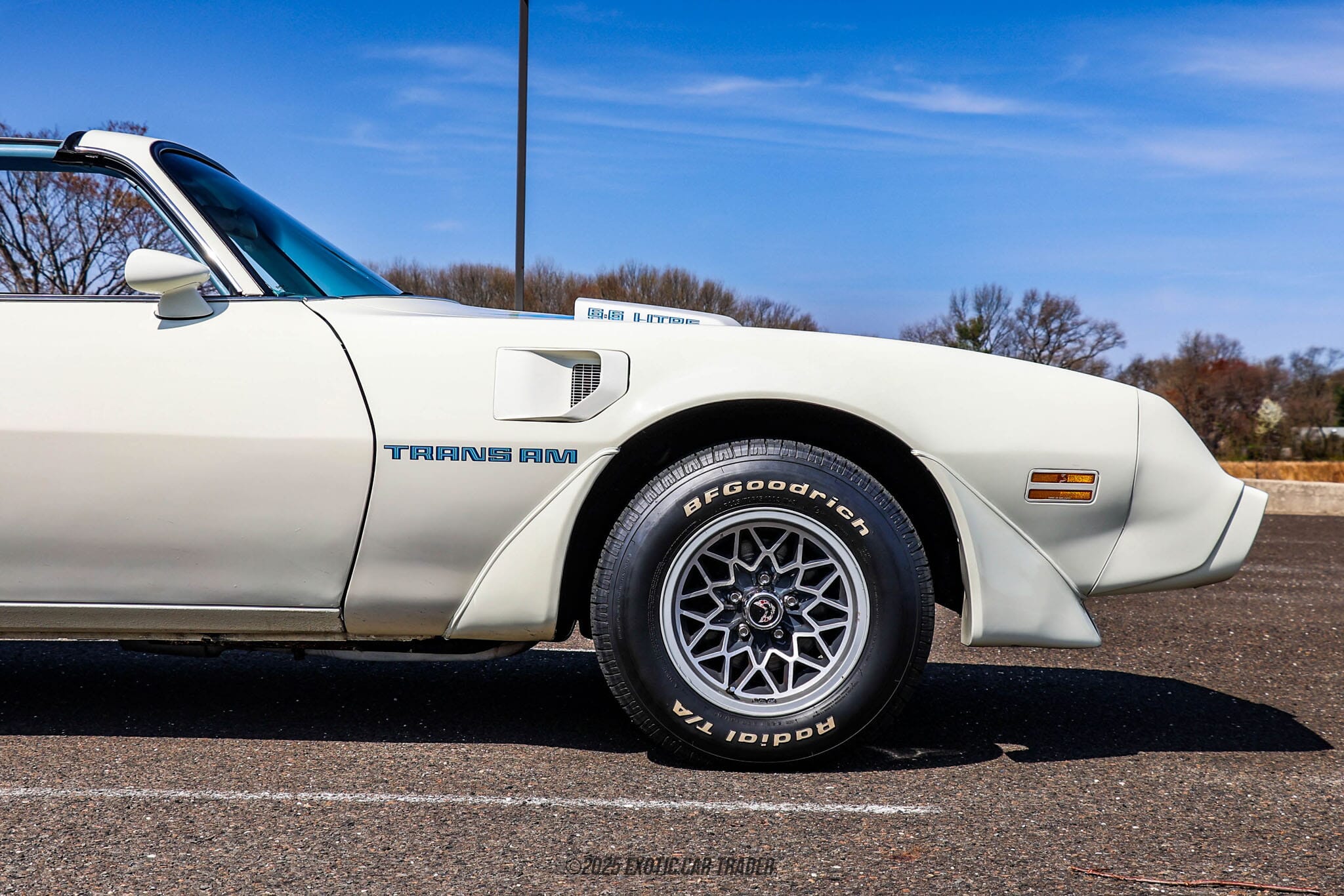 1979 Pontiac Firebird Trans Am for sale