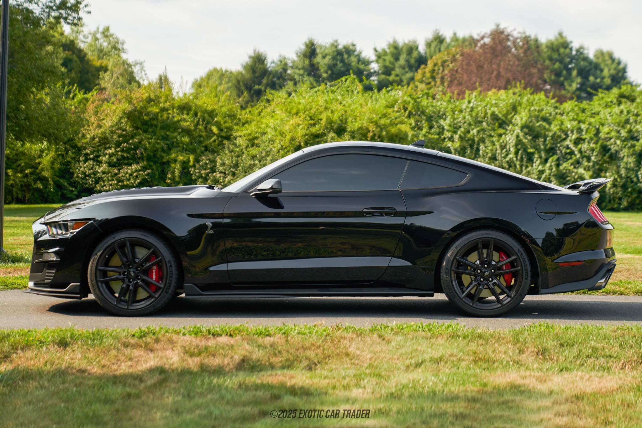 2022 Ford Mustang Shelby GT500 for sale