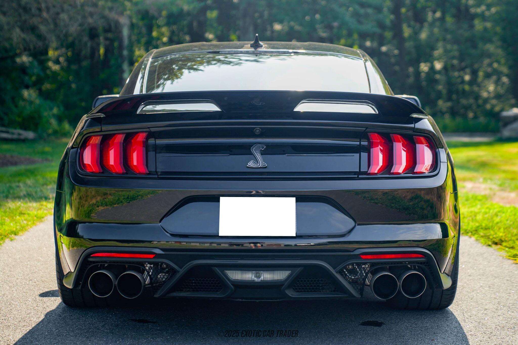2022 Ford Mustang Shelby GT500 for sale