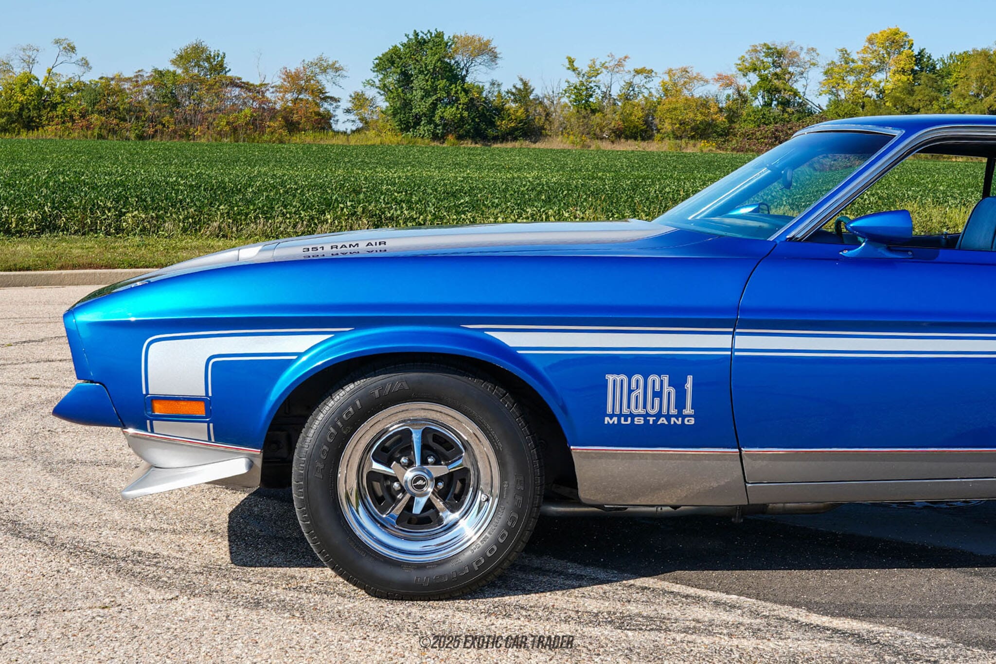 1972 Ford Mustang Mach 1 for sale