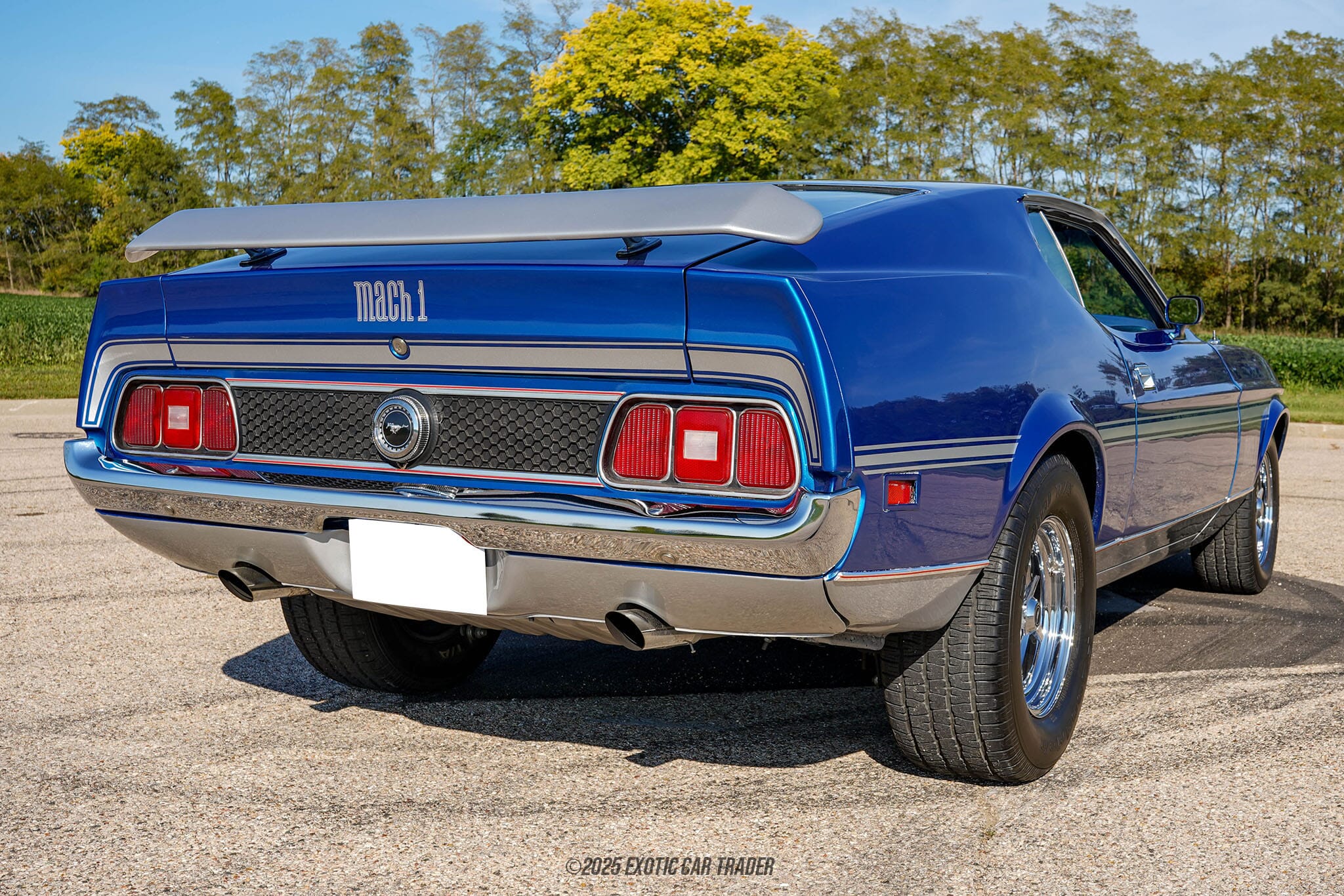 1972 Ford Mustang Mach 1 for sale