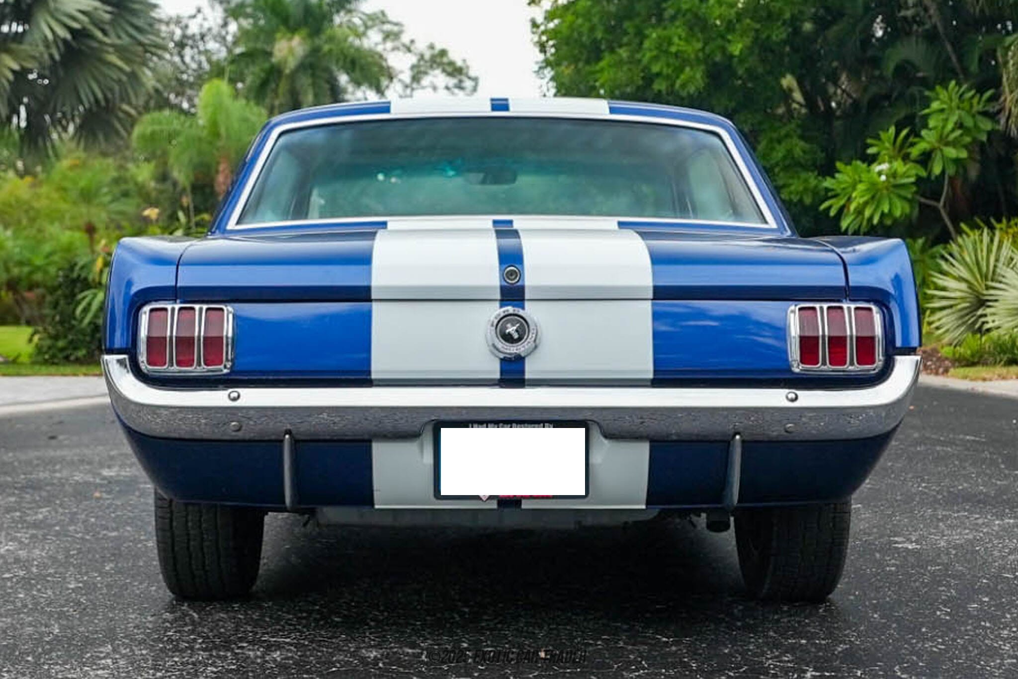 1965 Ford Mustang for sale