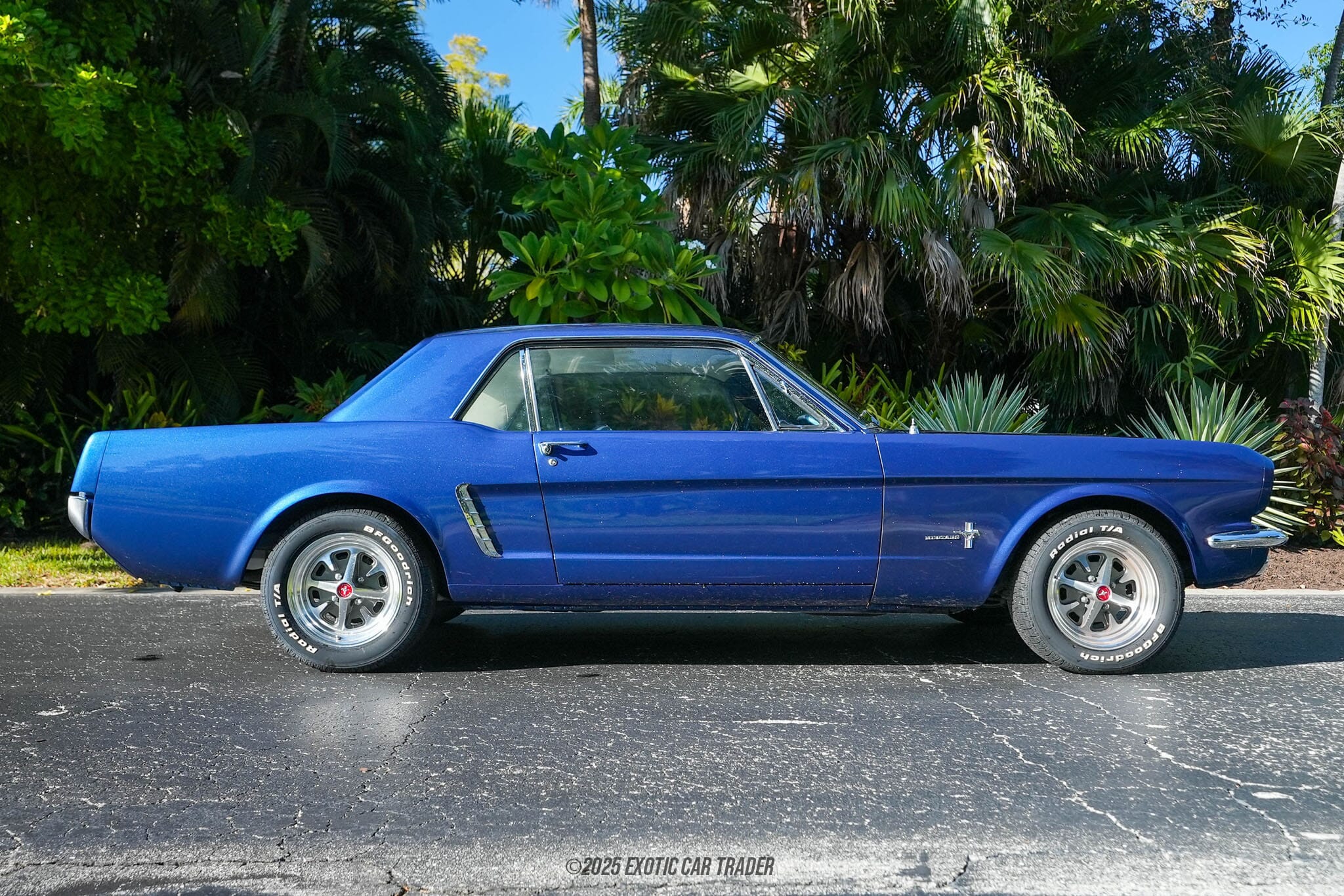 1965 Ford Mustang for sale