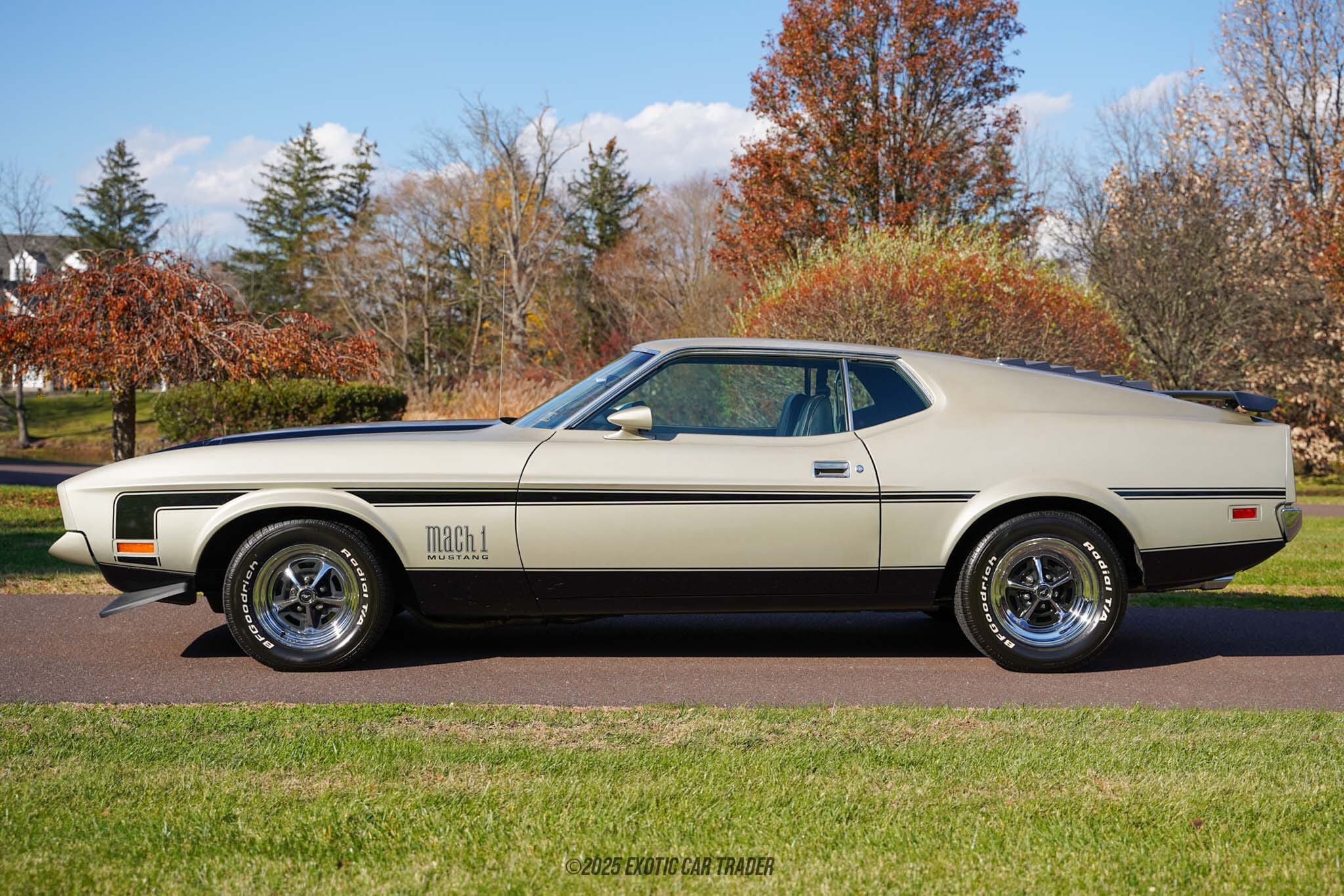 1972 Ford Mustang Mach 1 for sale