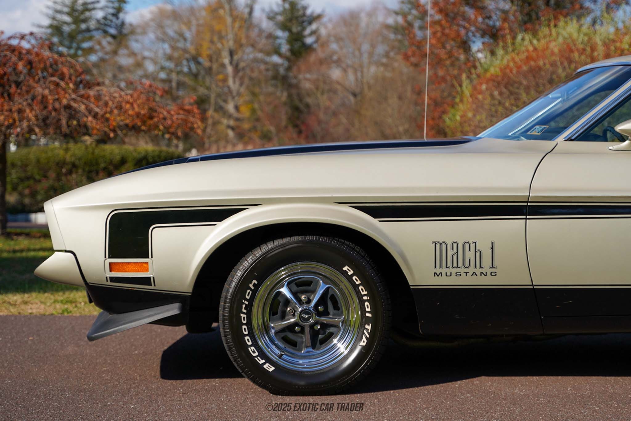 1972 Ford Mustang Mach 1 for sale