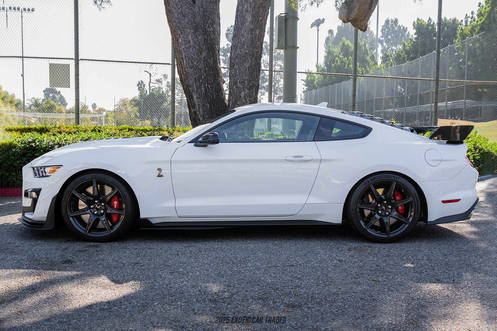 2022 Ford Mustang Shelby GT500 for sale