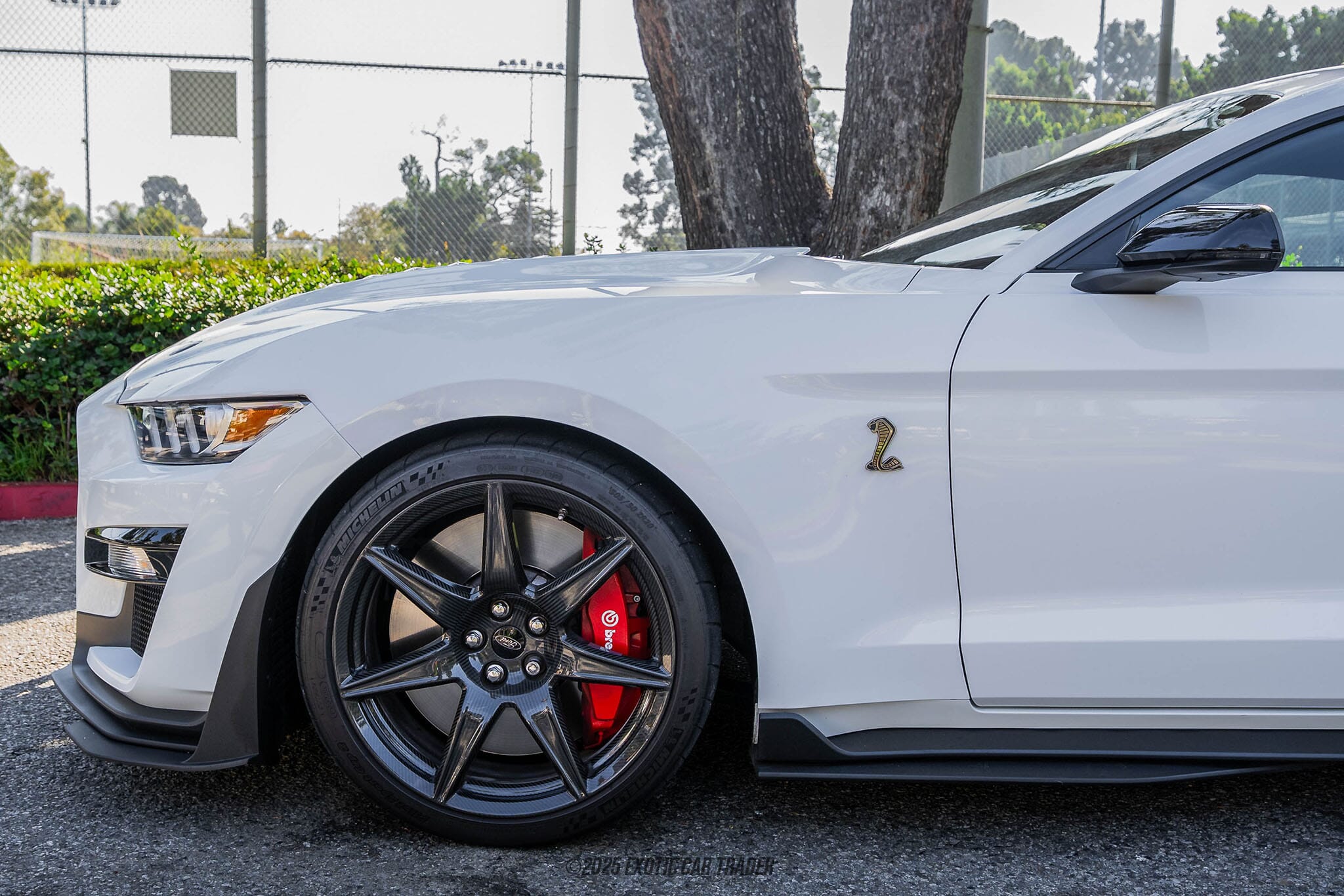 2022 Ford Mustang Shelby GT500 for sale