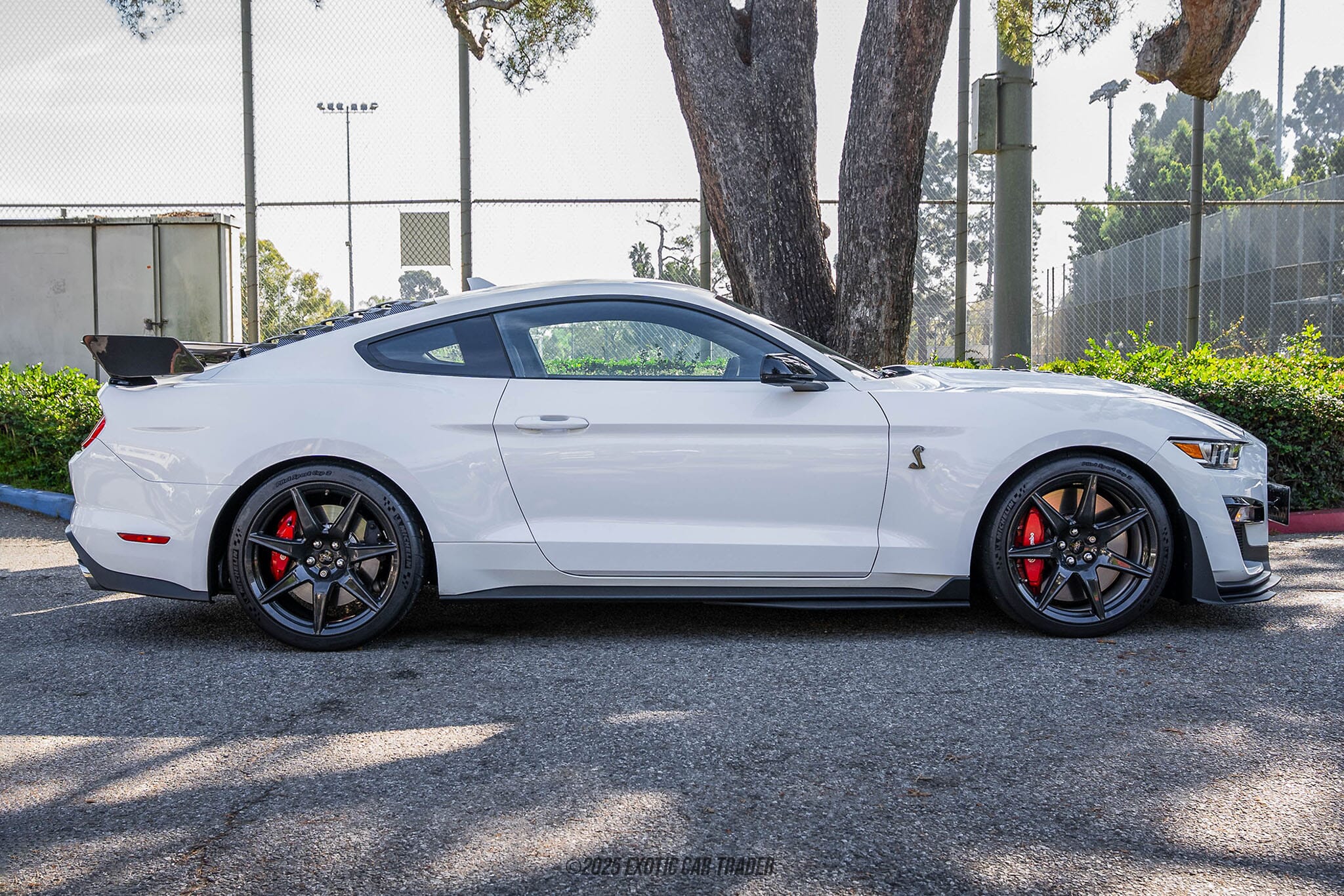 2022 Ford Mustang Shelby GT500 for sale