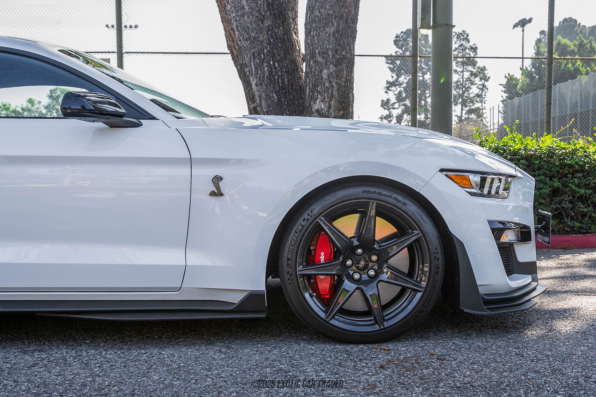 2022 Ford Mustang Shelby GT500 for sale