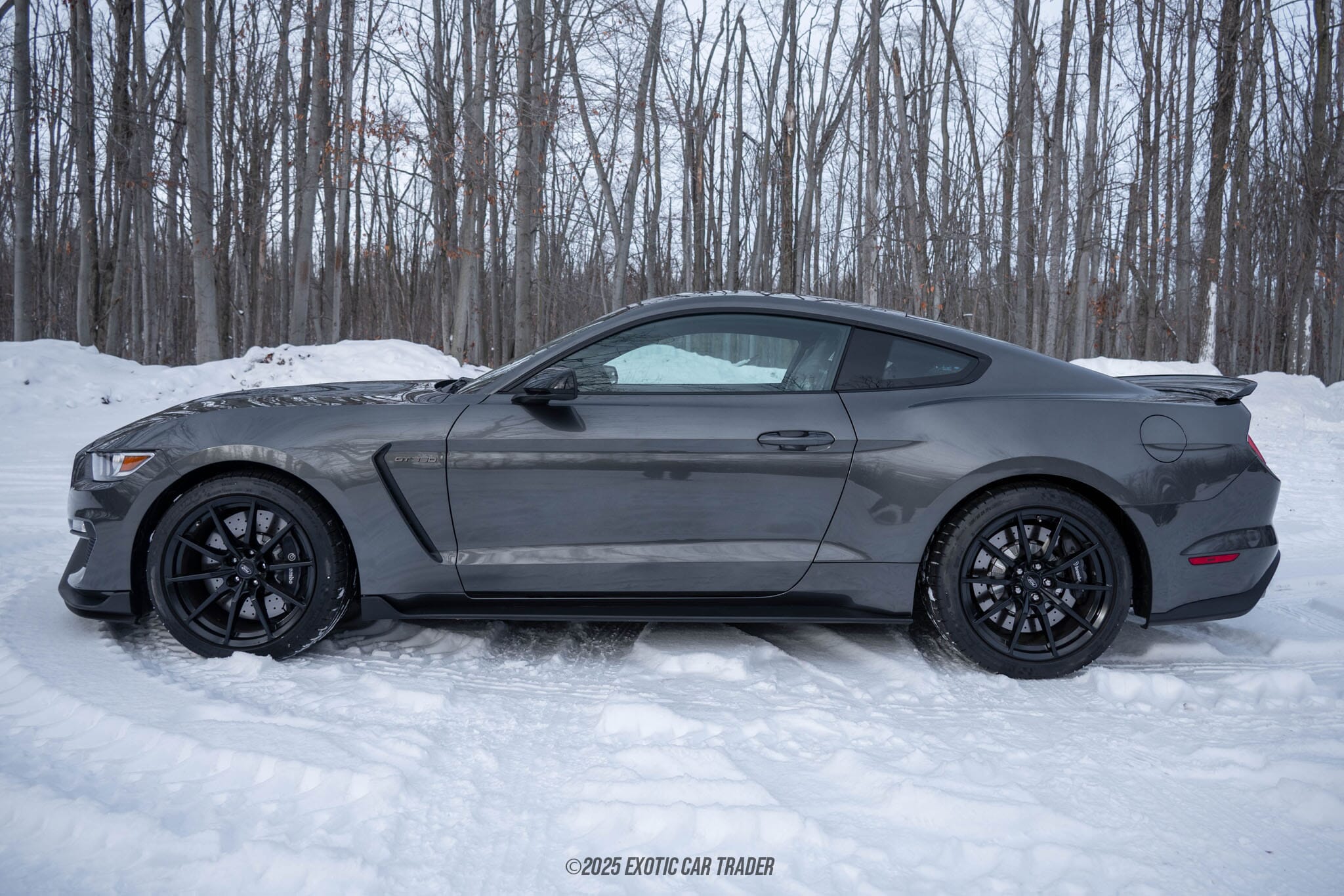 2015 Ford Mustang Shelby GT350 50th Anniversary Track Package for sale