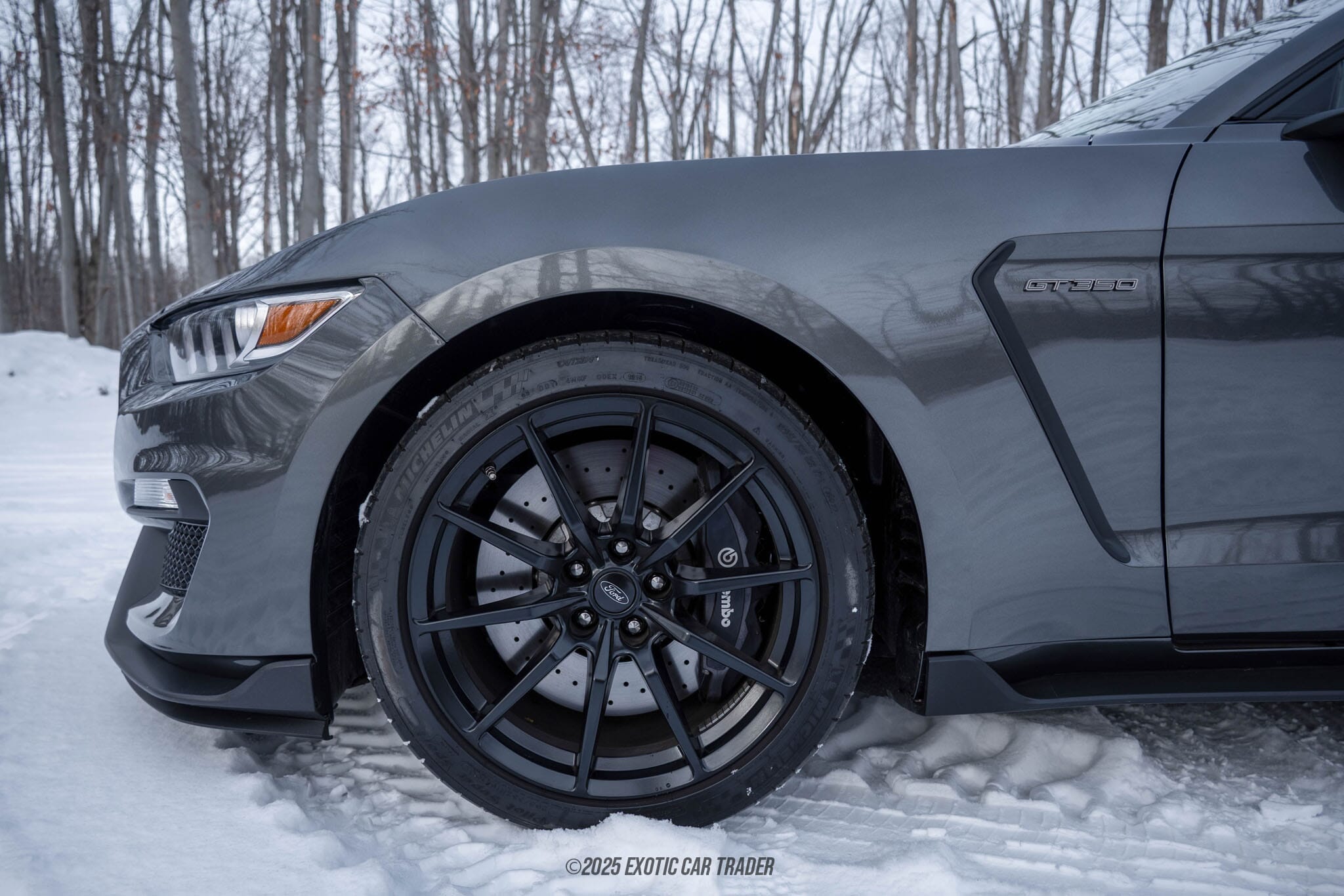 2015 Ford Mustang Shelby GT350 50th Anniversary Track Package for sale