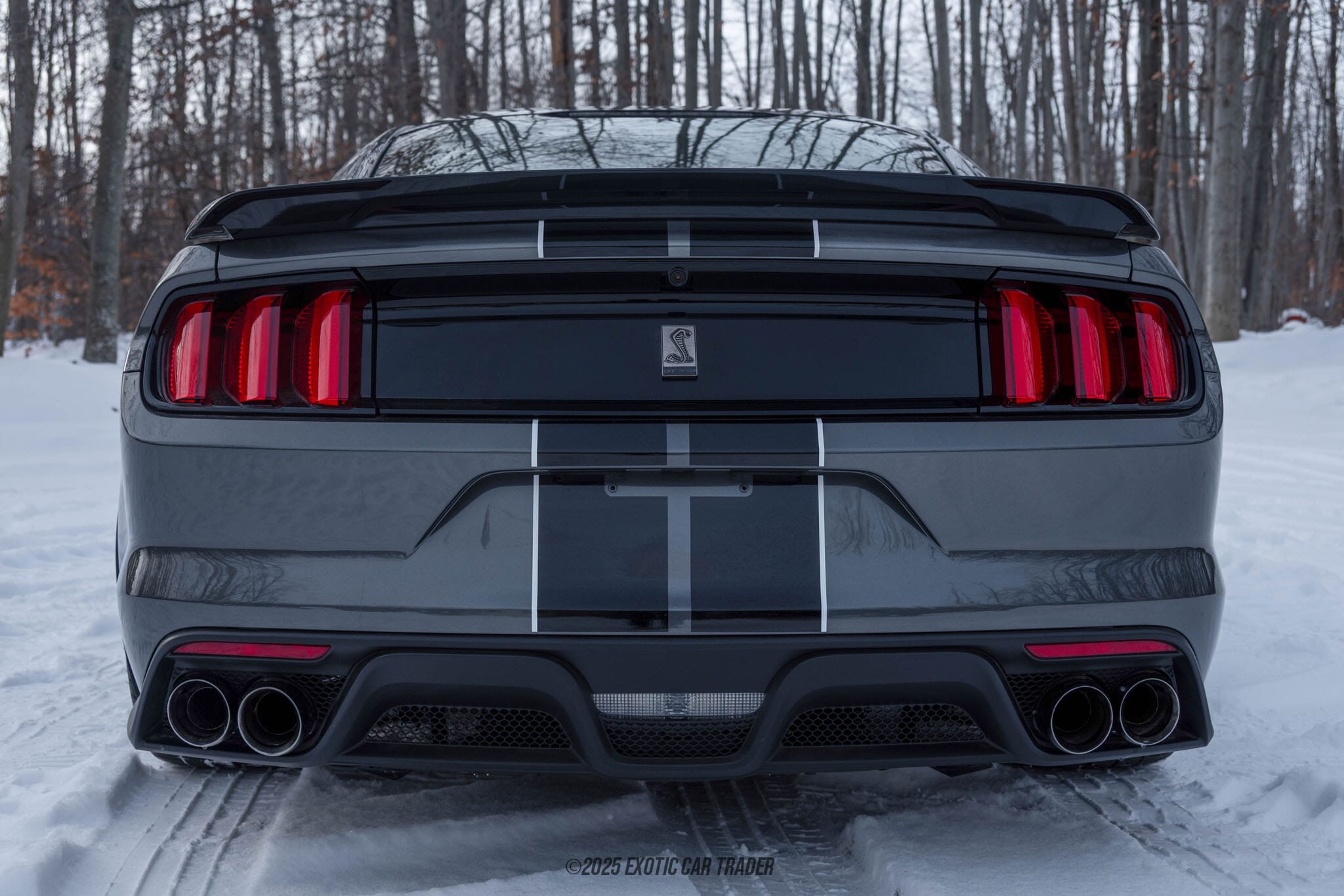 2015 Ford Mustang Shelby GT350 50th Anniversary Track Package for sale