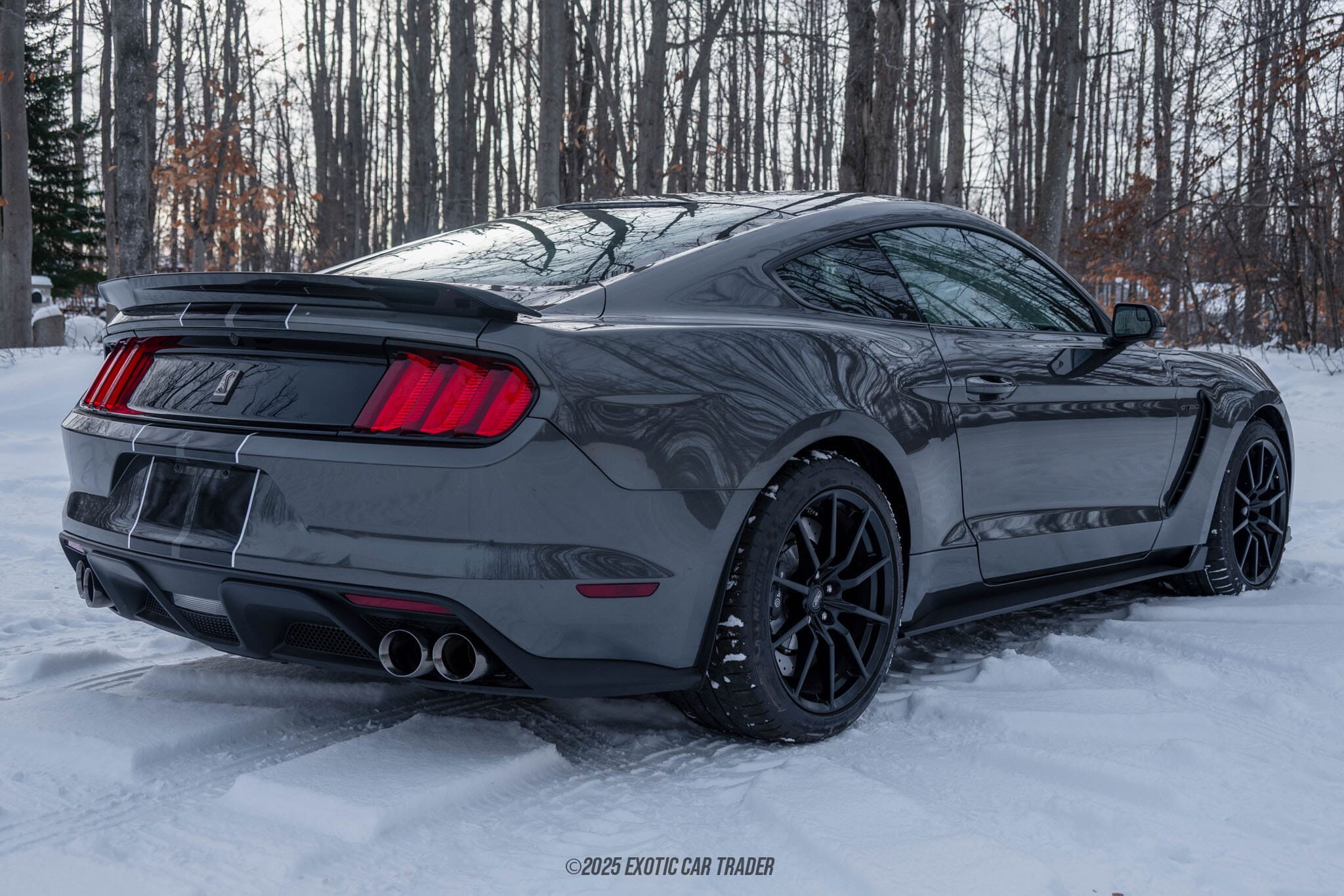 2015 Ford Mustang Shelby GT350 50th Anniversary Track Package for sale