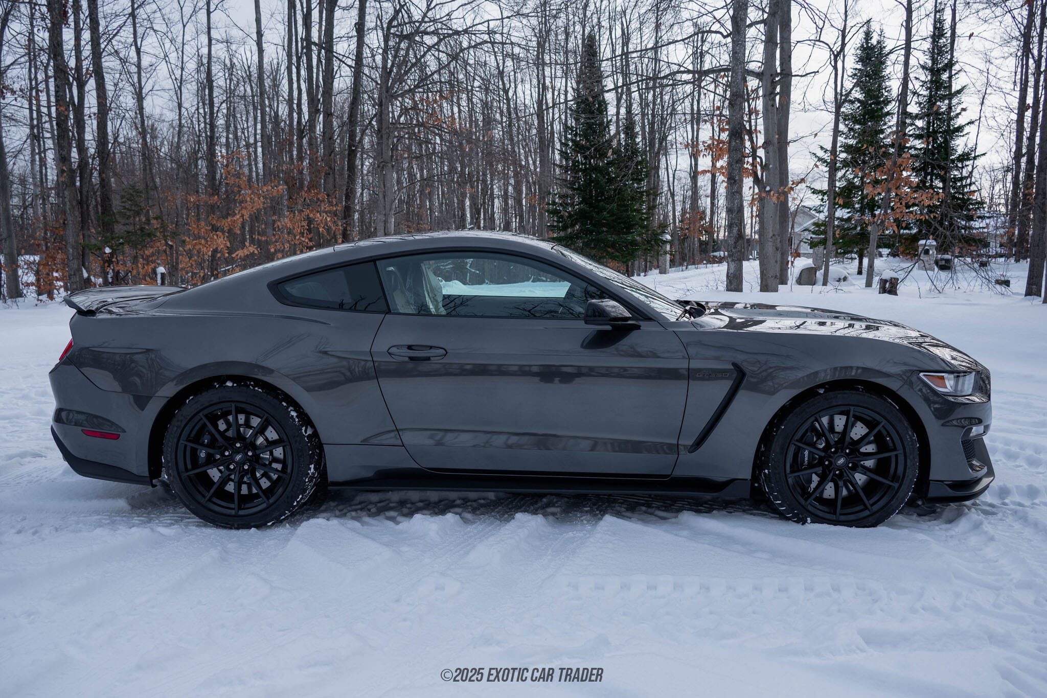 2015 Ford Mustang Shelby GT350 50th Anniversary Track Package for sale
