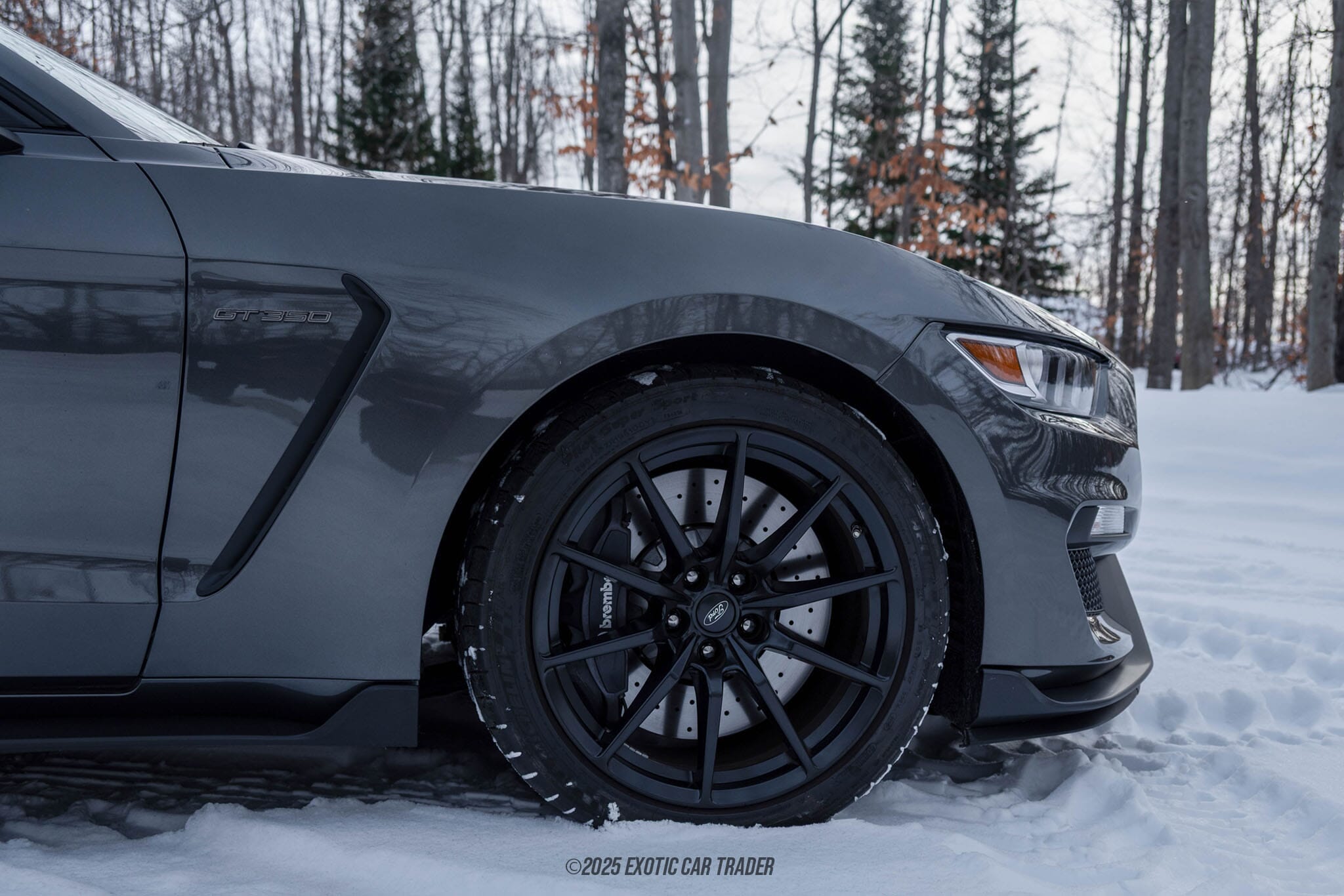 2015 Ford Mustang Shelby GT350 50th Anniversary Track Package for sale