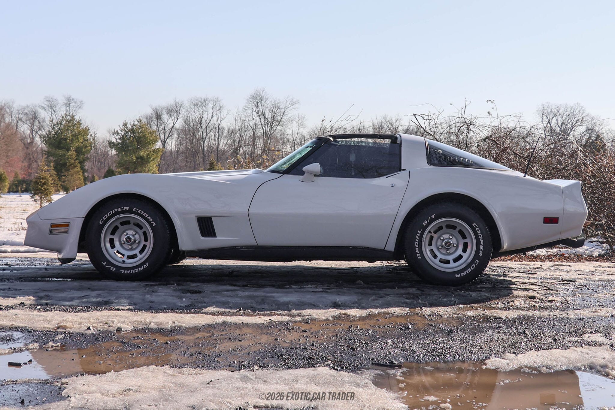 1981 Chevrolet Corvette for sale