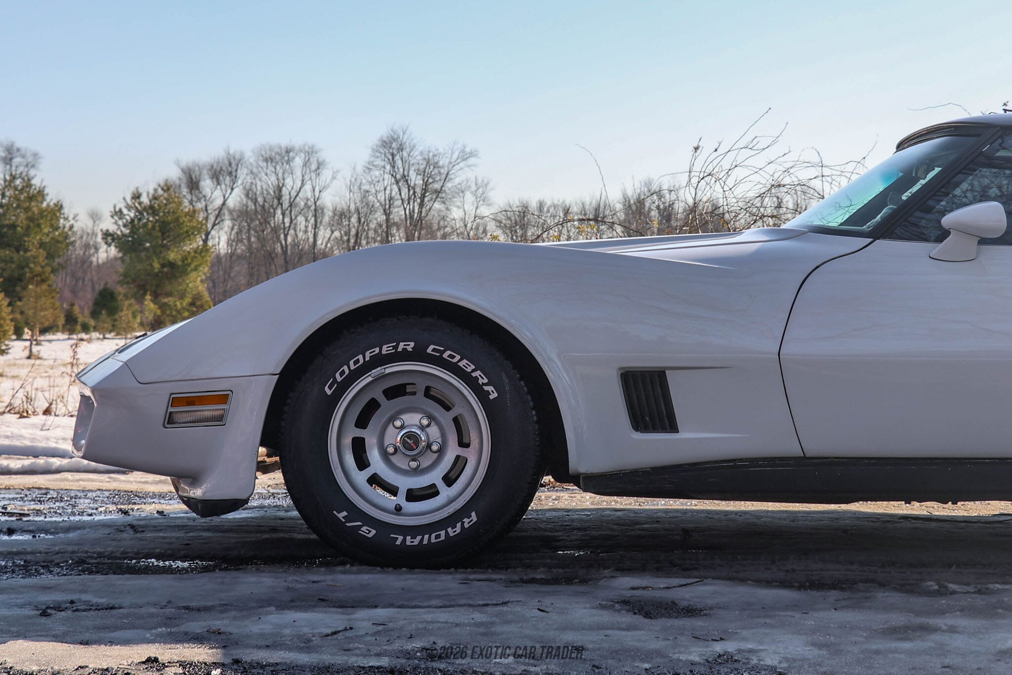 1981 Chevrolet Corvette for sale