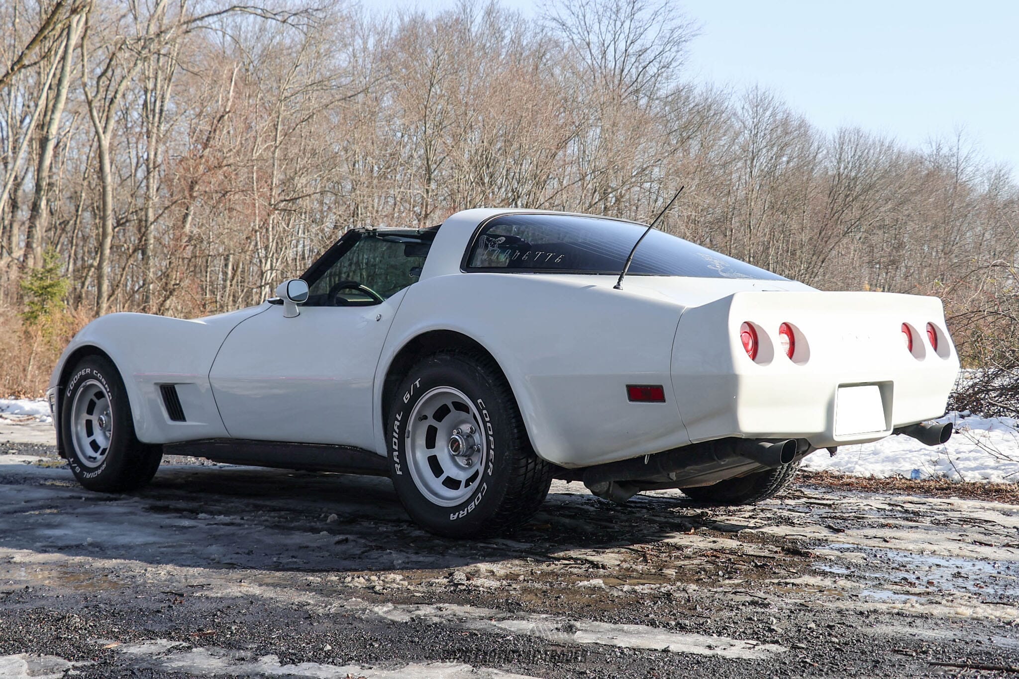 1981 Chevrolet Corvette for sale