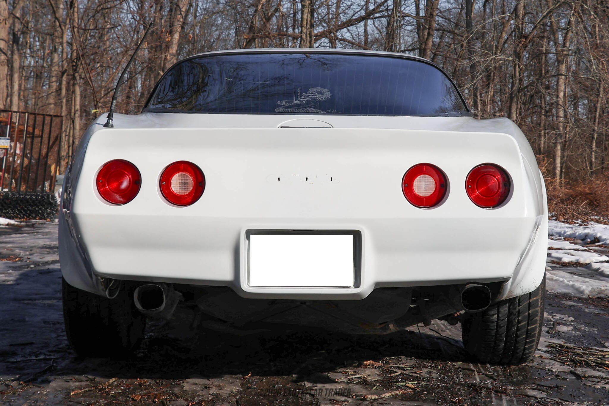 1981 Chevrolet Corvette for sale
