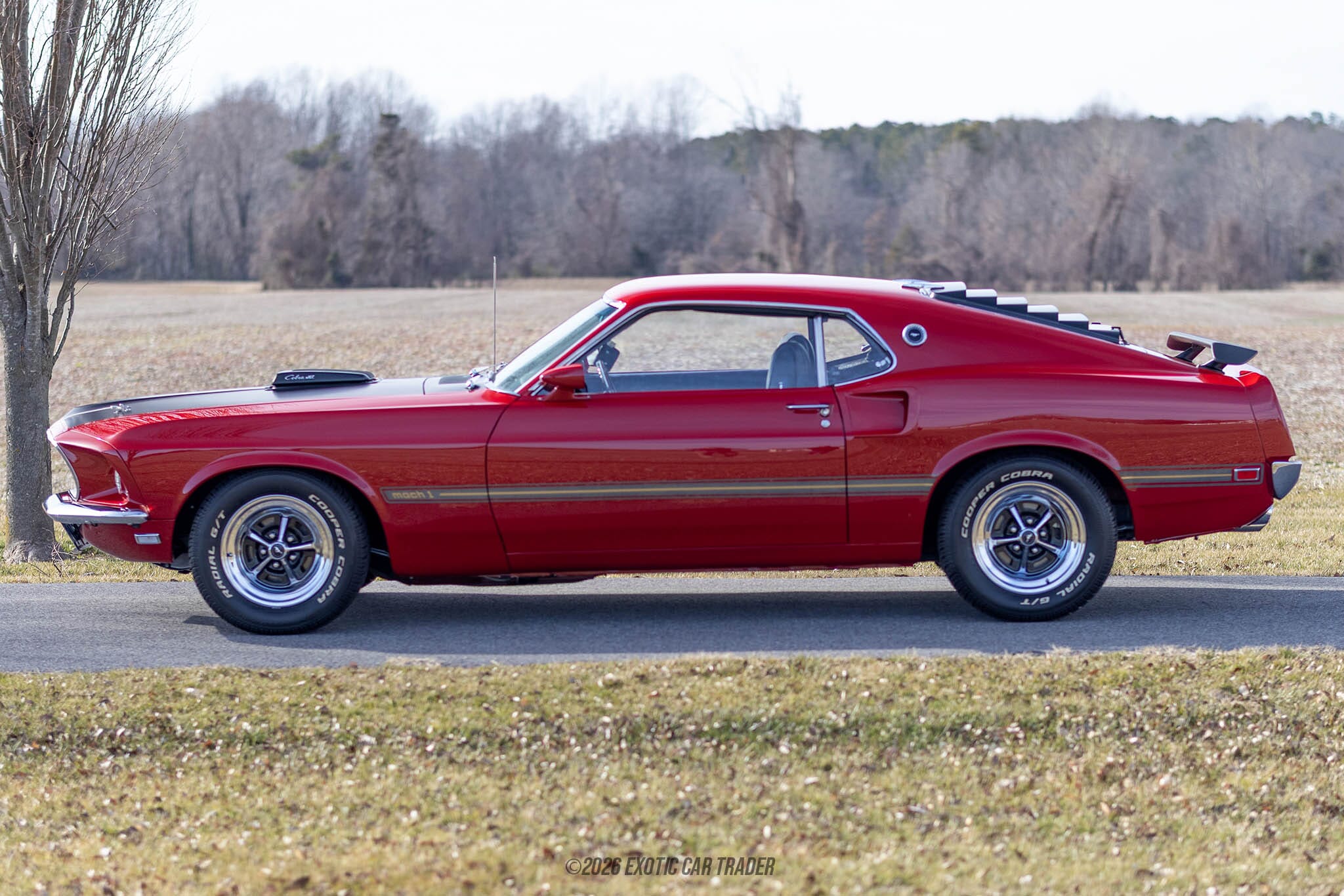 1969 Ford Mustang Mach 1 for sale