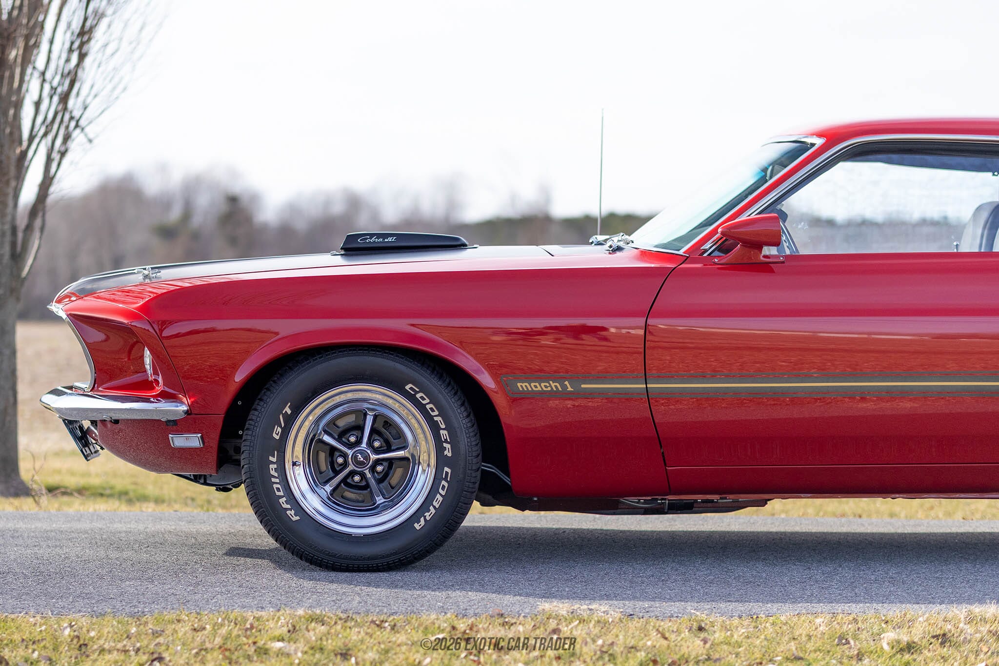 1969 Ford Mustang Mach 1 for sale