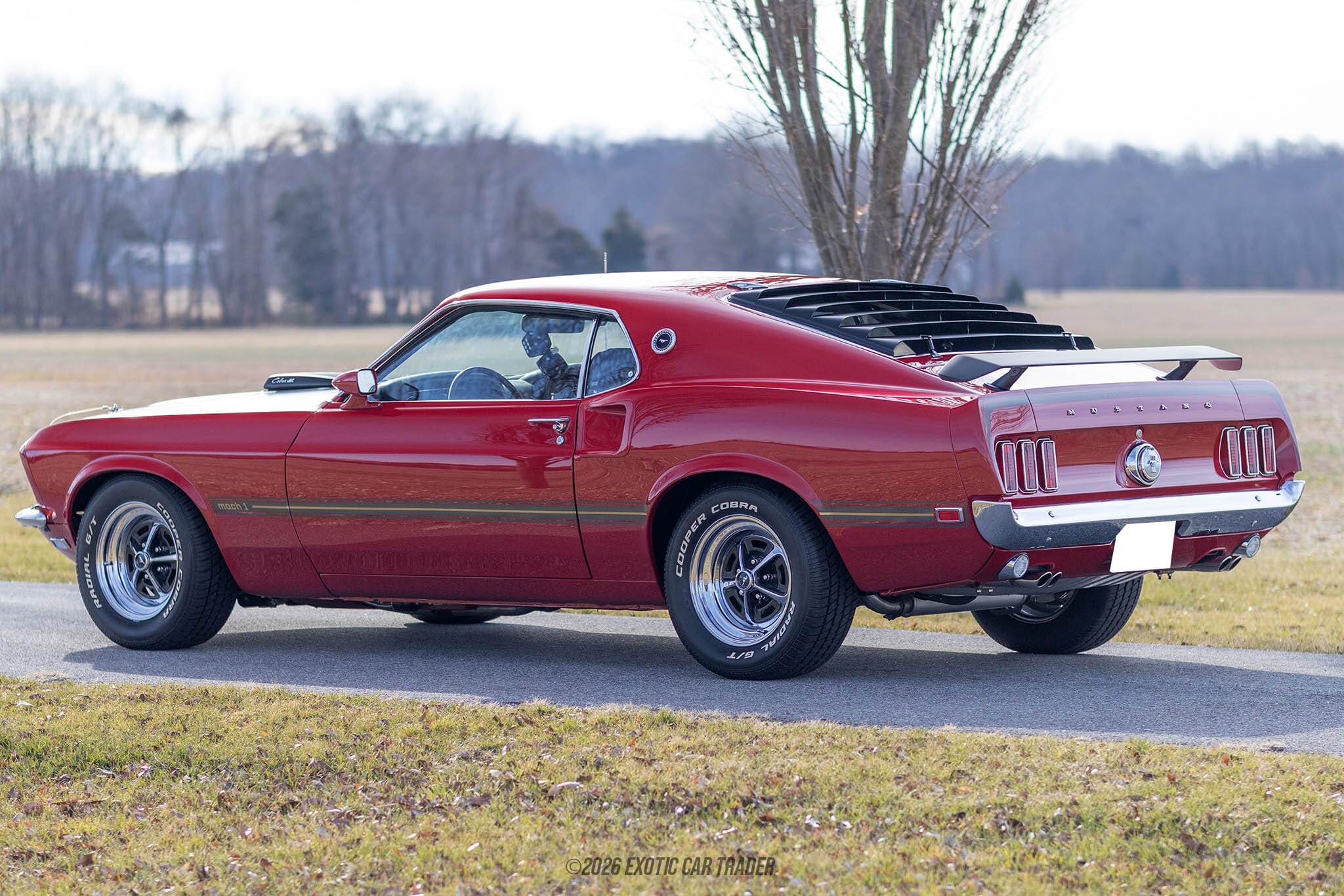 1969 Ford Mustang Mach 1 for sale