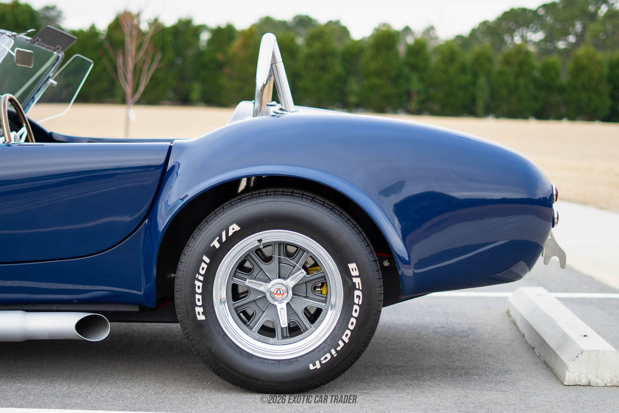 1967 Shelby Cobra Replica for sale