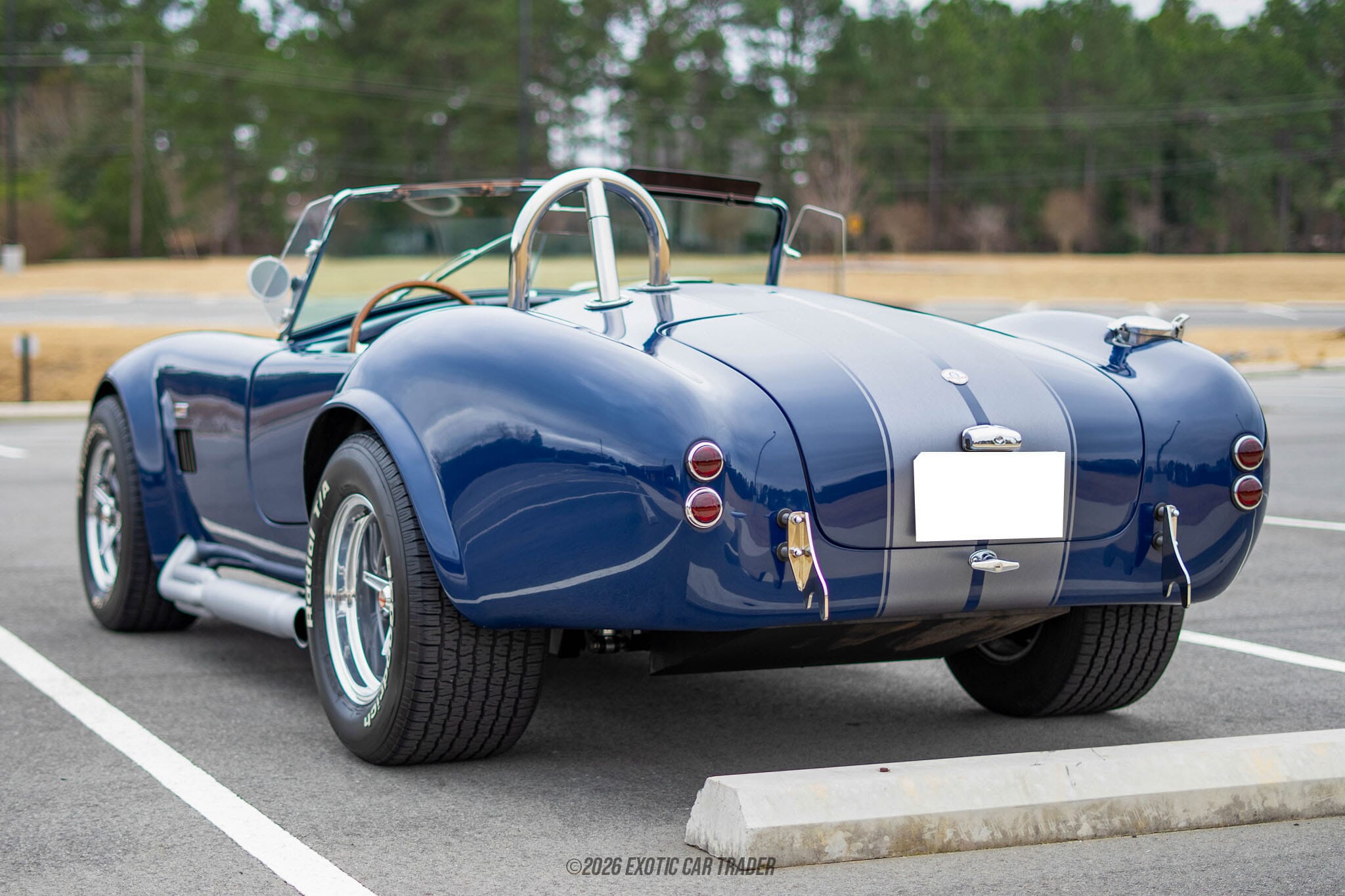 1967 Shelby Cobra Replica for sale
