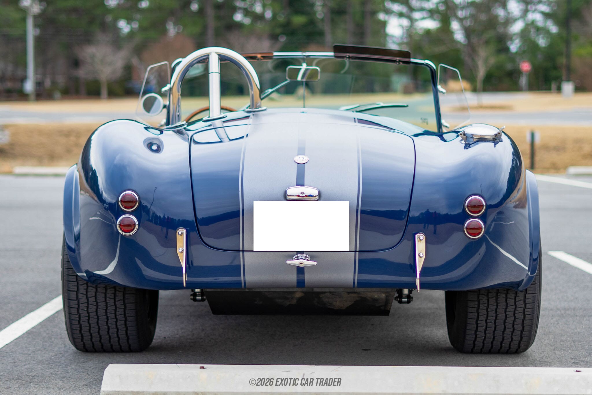 1967 Shelby Cobra Replica for sale