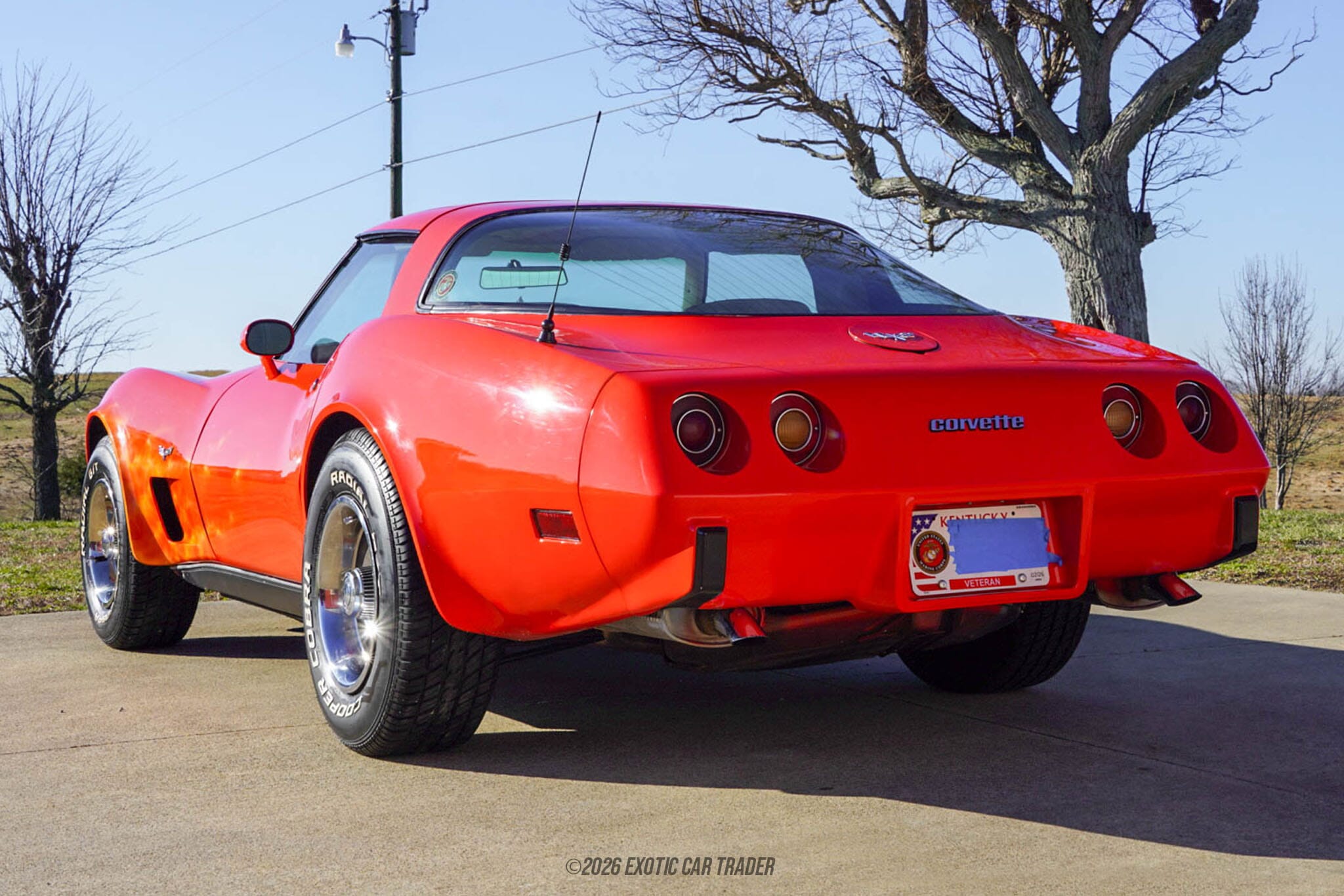 1979 Chevrolet Corvette for sale