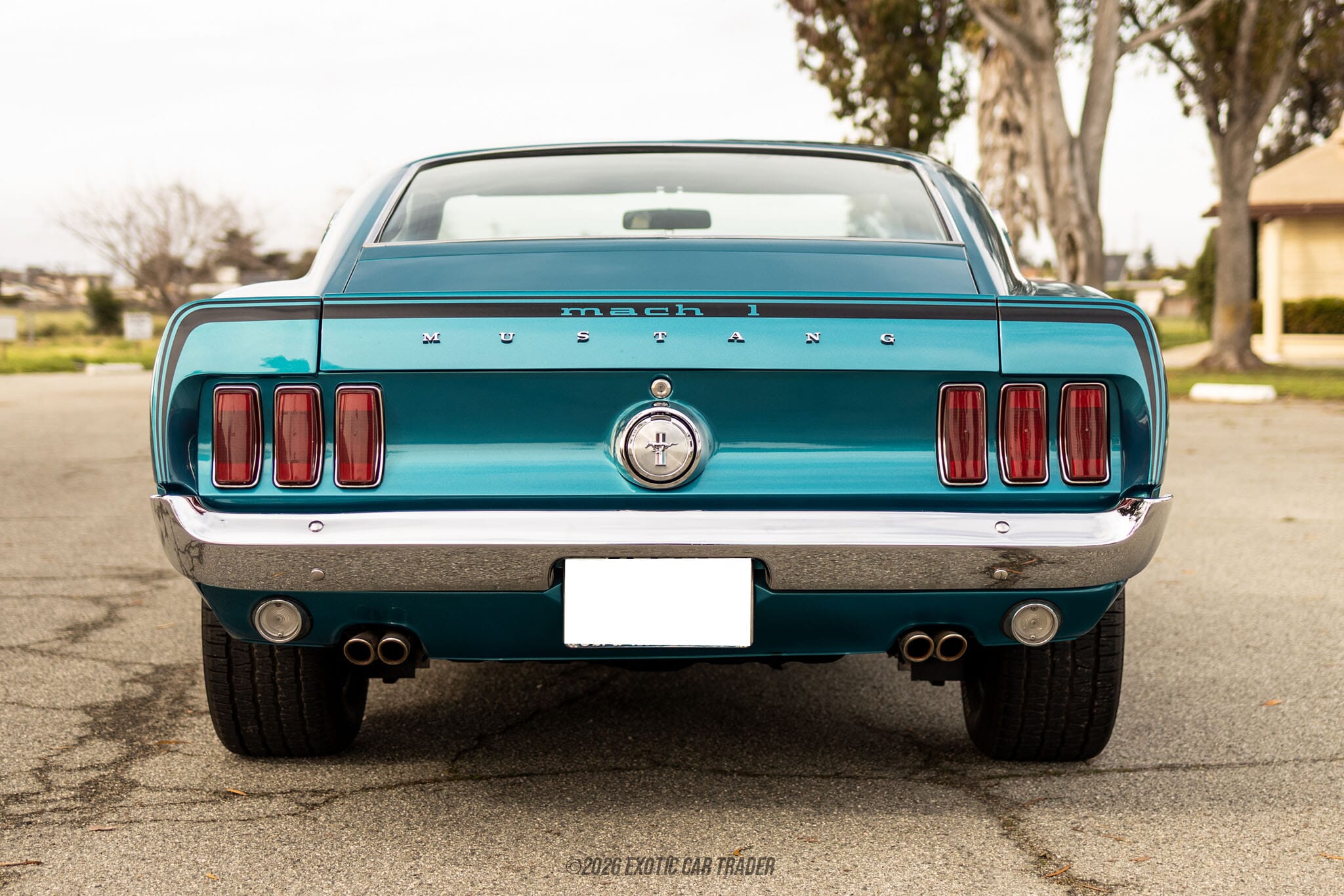 1969 Ford Mustang Mach 1 for sale