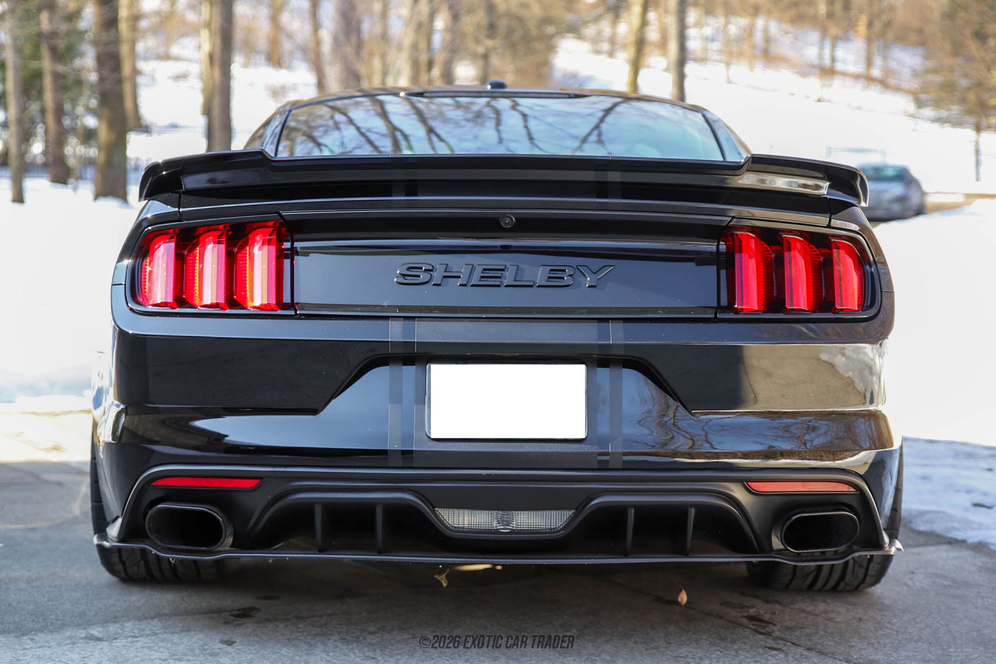 2017 Ford Mustang Shelby Super Snake for sale