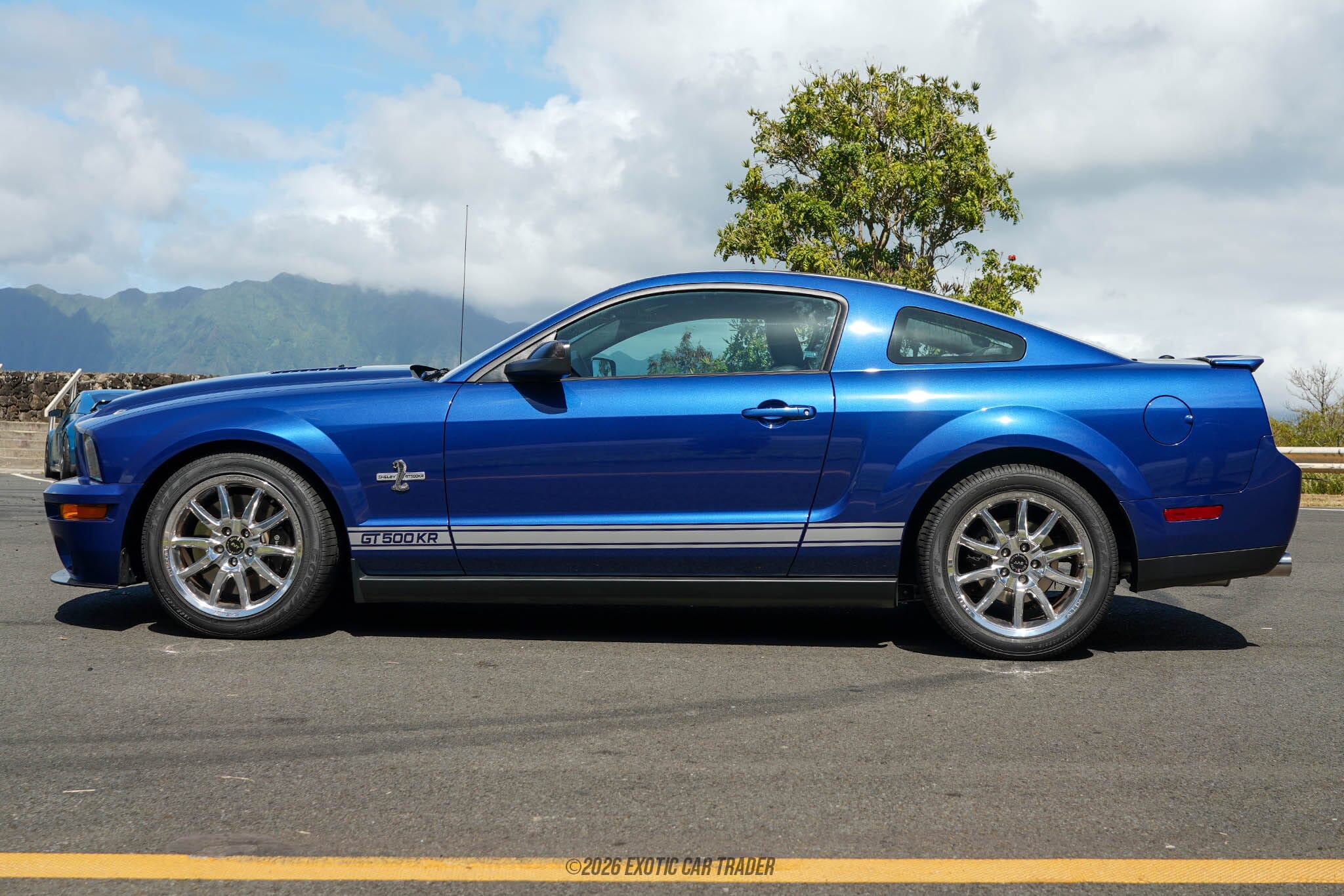 2009 Ford Mustang Shelby GT500KR for sale