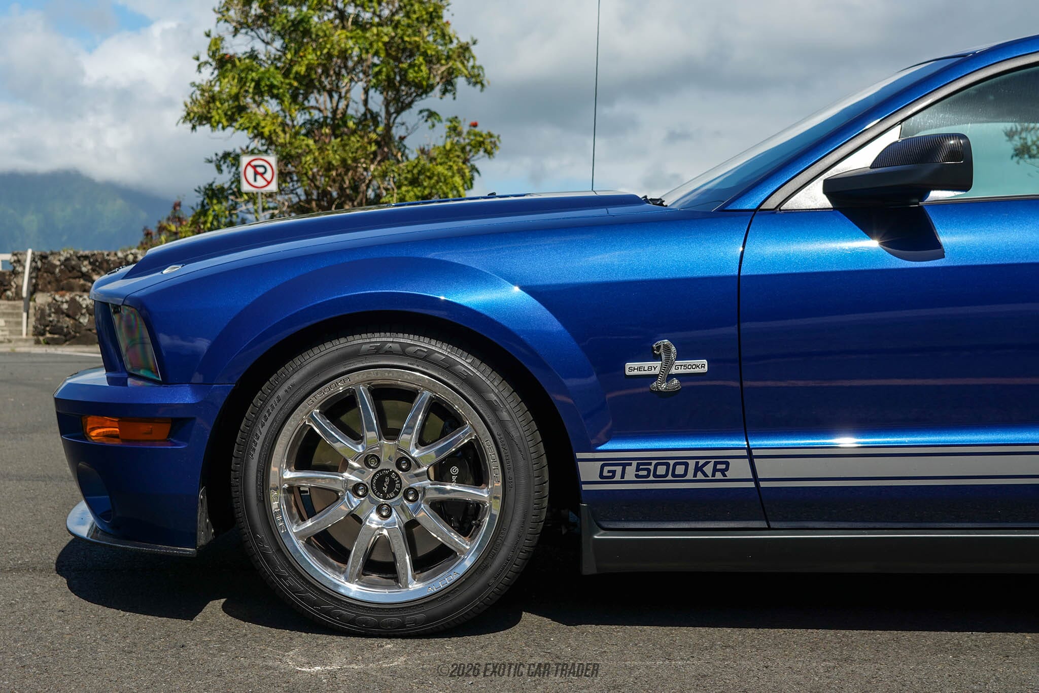 2009 Ford Mustang Shelby GT500KR for sale