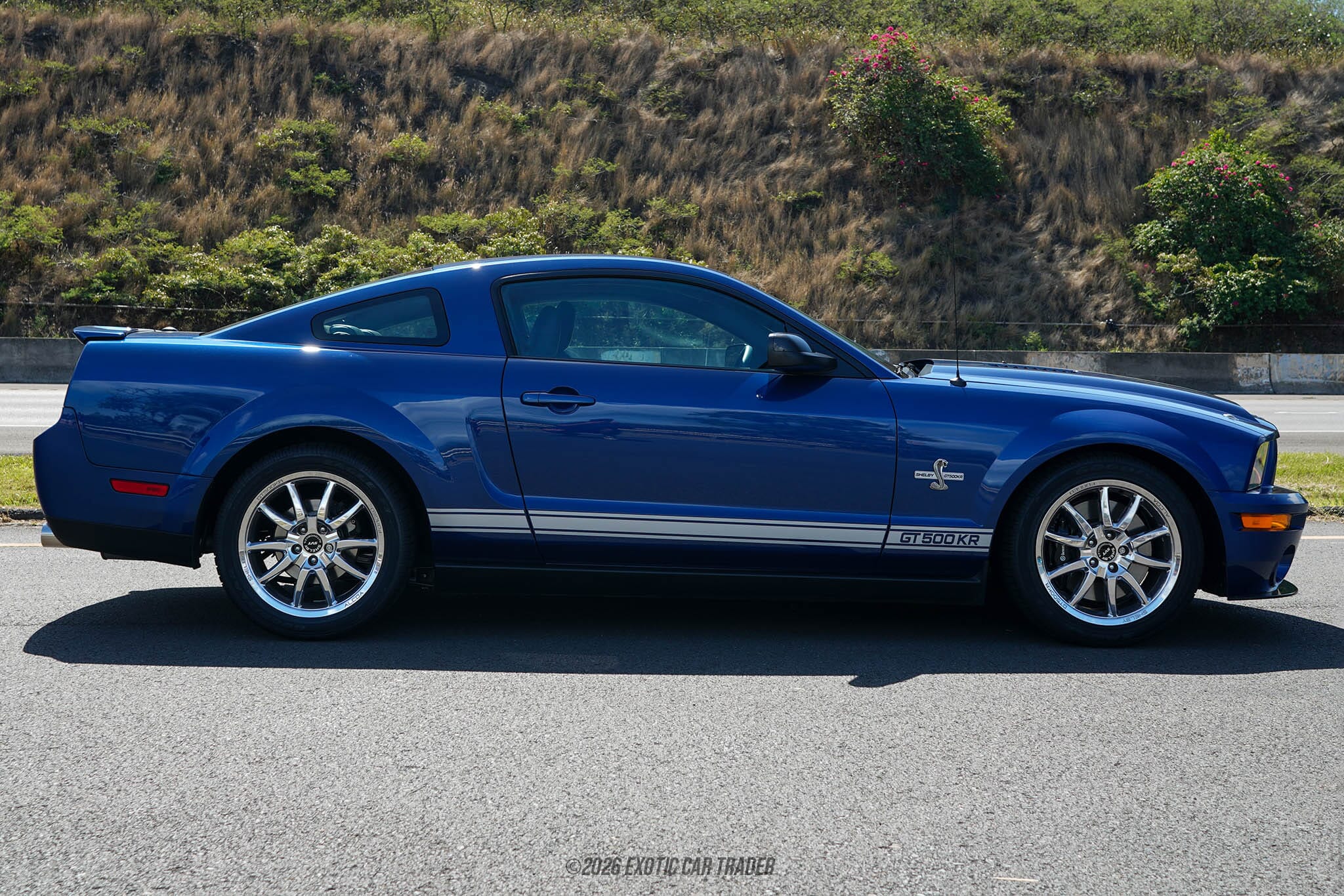 2009 Ford Mustang Shelby GT500KR for sale